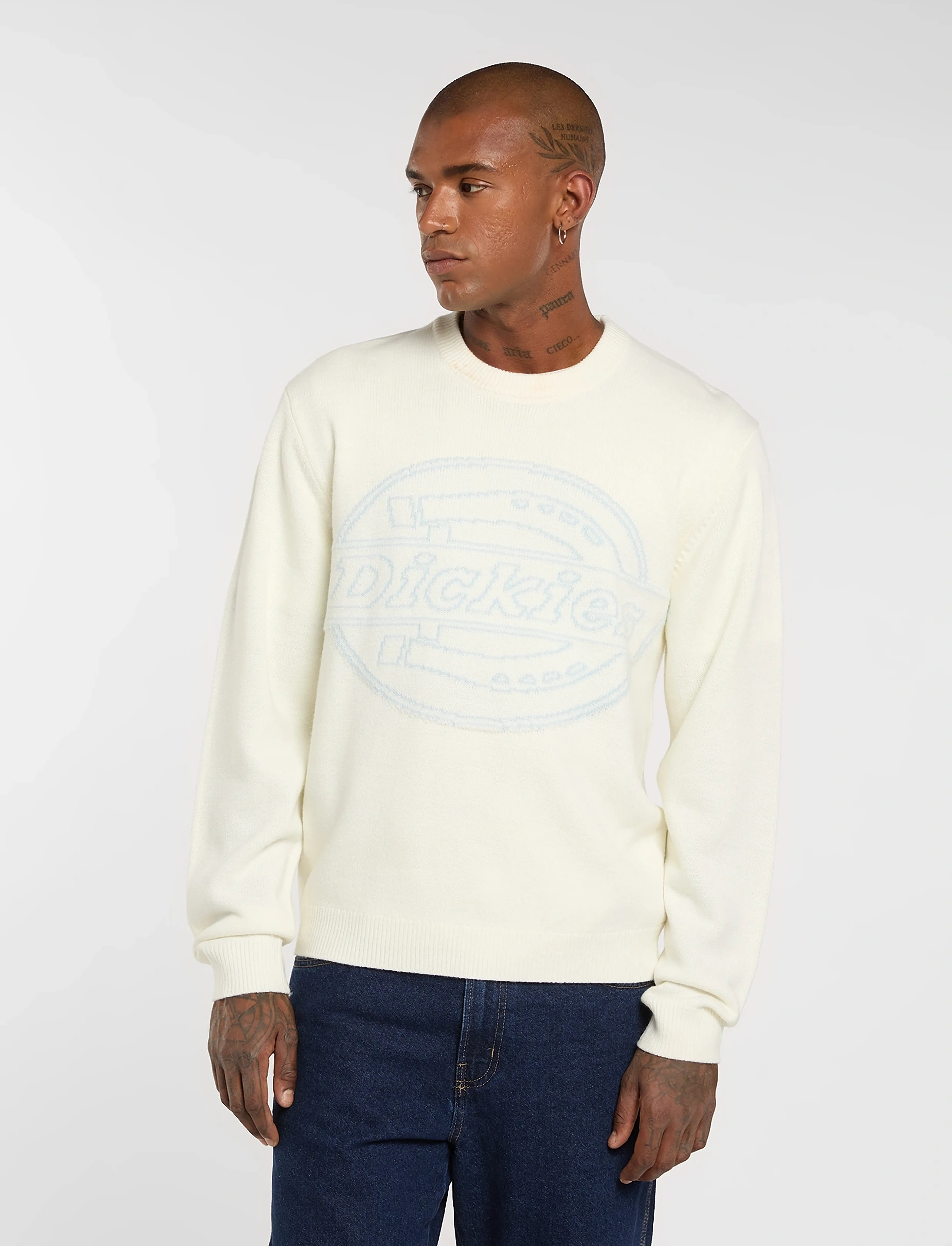 Dickies Union Jacquard Sweater, M, Cream, Strik > Runde Halse, Herre