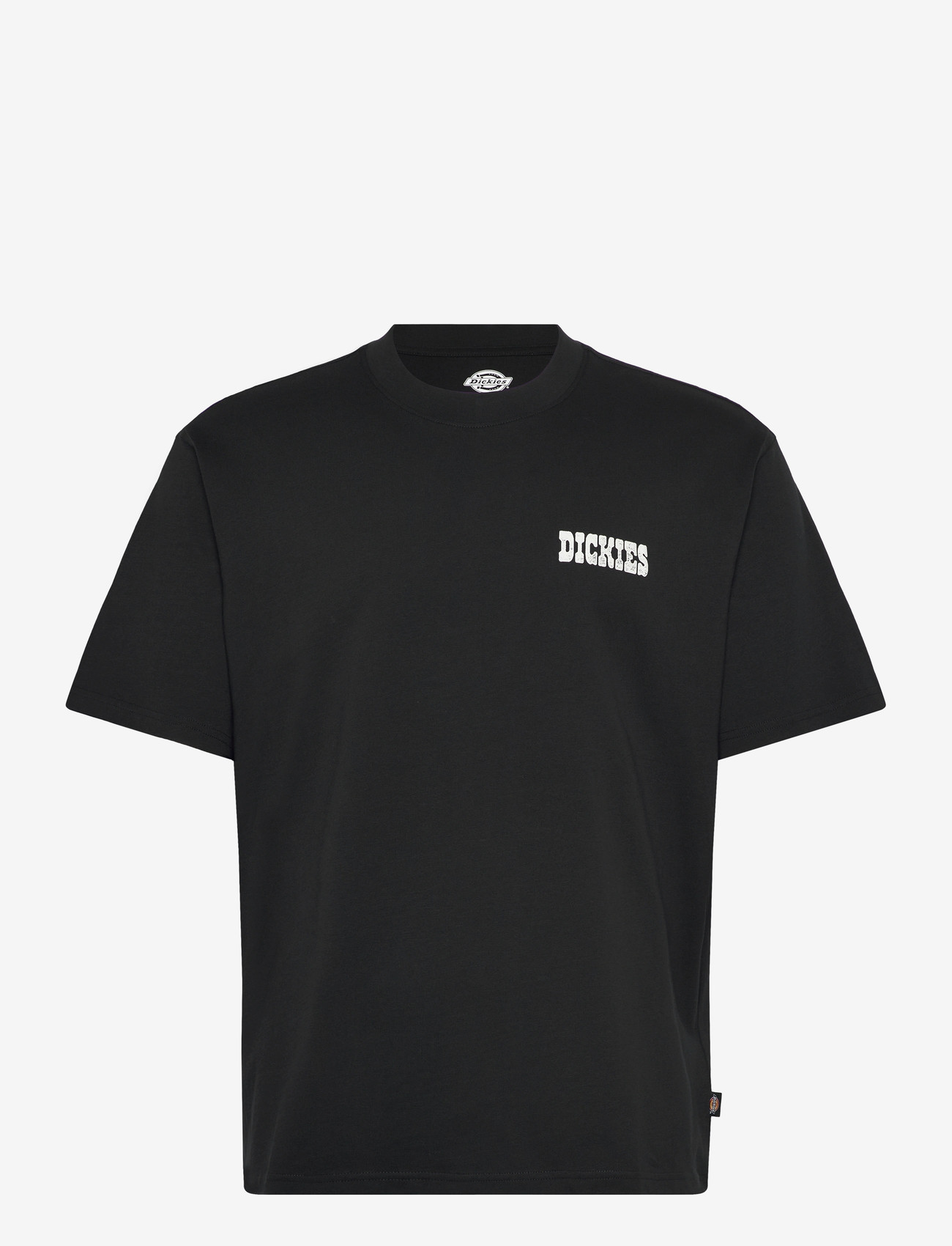 Dickies - PLAIN CITY SS TEE - kurzärmelig - black - 0