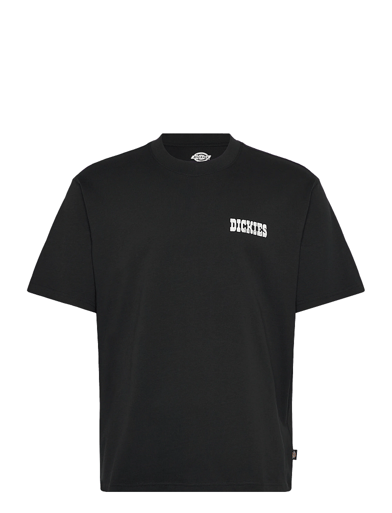Dickies - PLAIN CITY SS TEE - kurzärmelig - black - 0