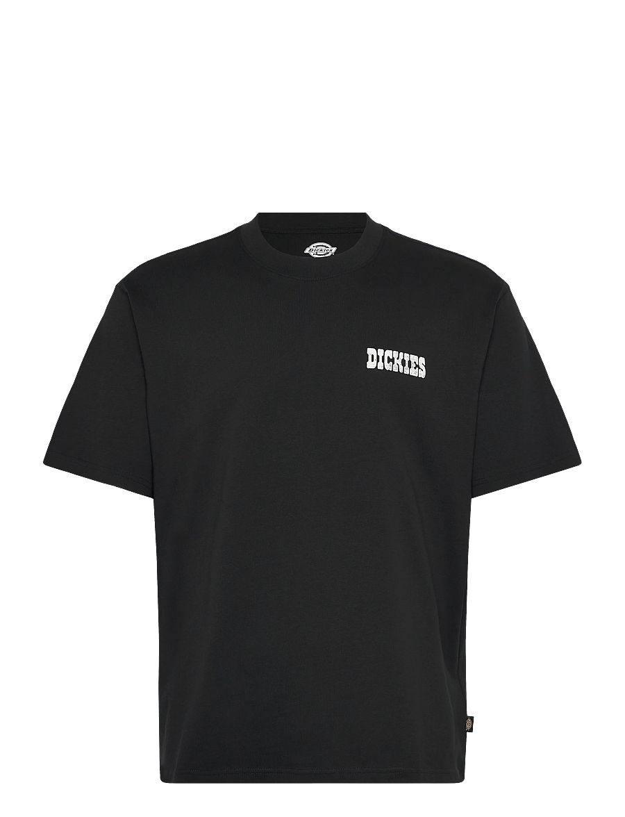 Dickies - PLAIN CITY SS TEE - kortærmede t-shirts - black - 0