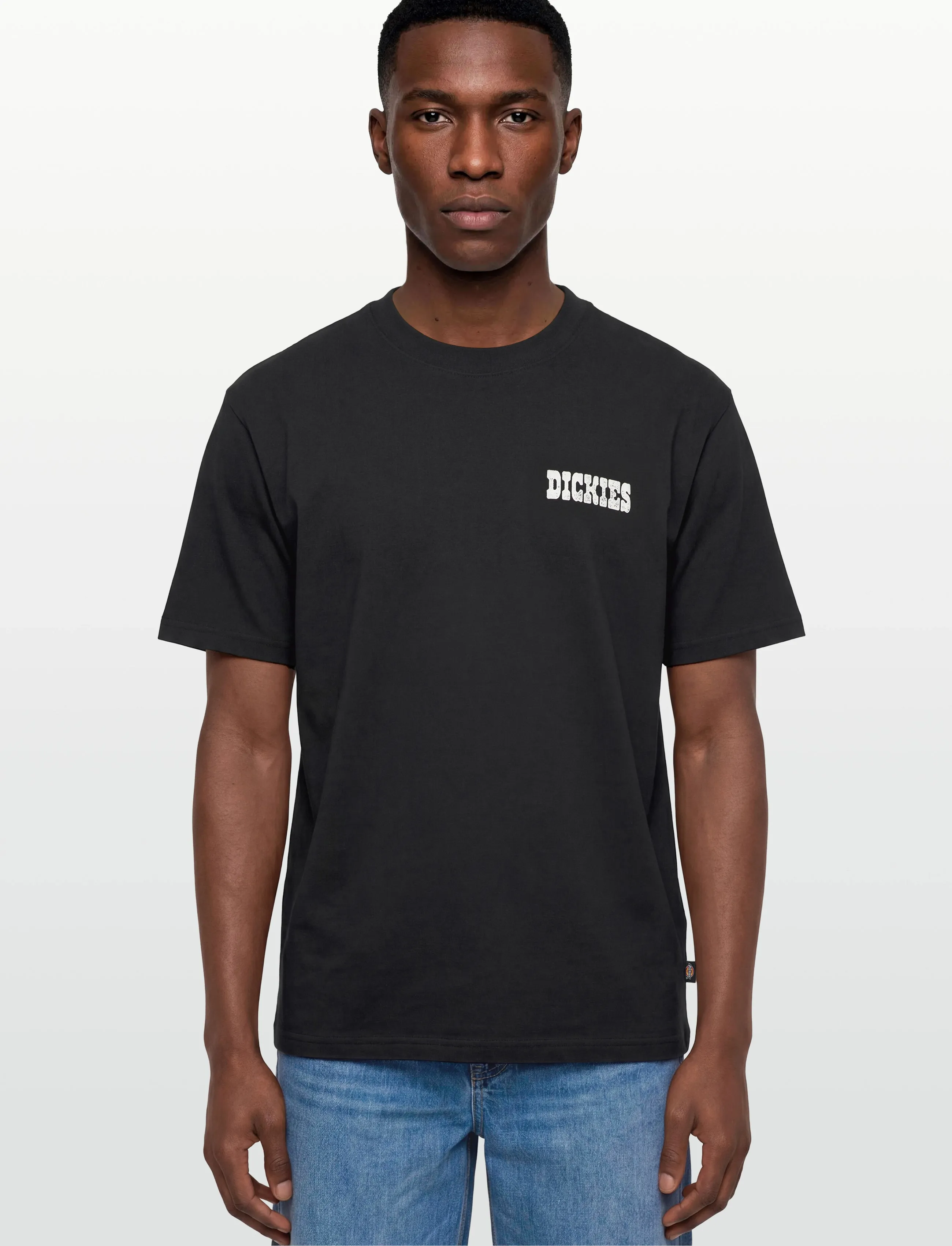Dickies - PLAIN CITY SS TEE - lühikeste varrukatega t-särgid - black - 3