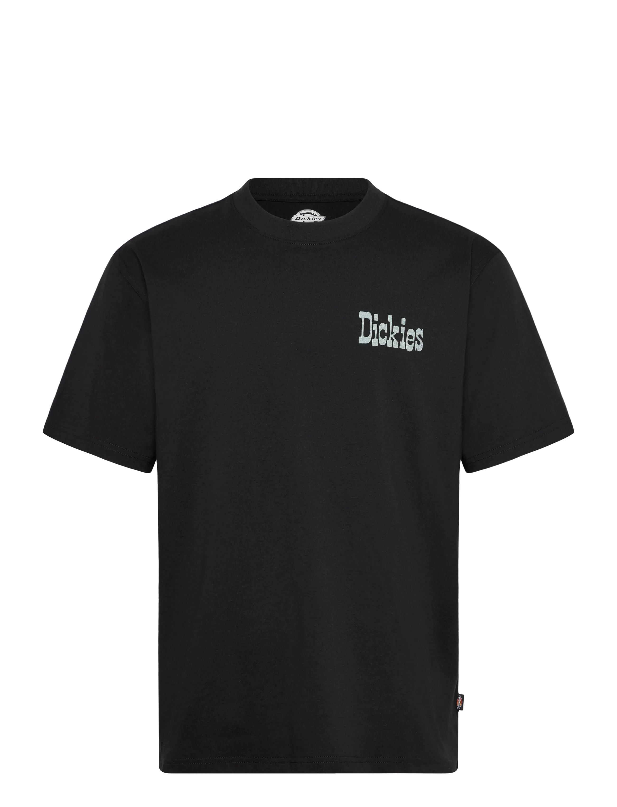 Dickies VERNAL SS TEE - T-särgid - BLACK / black