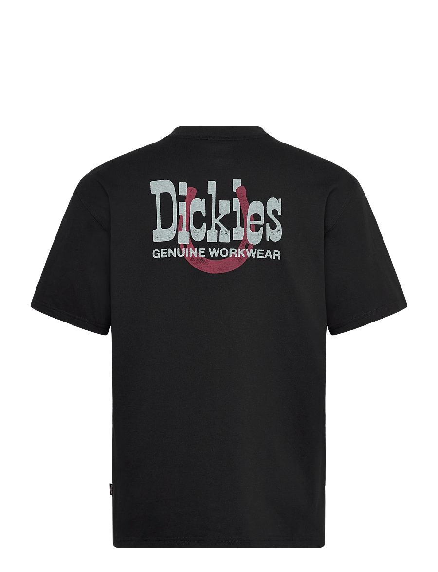 Dickies - VERNAL SS TEE - kurzärmelig - black - 2