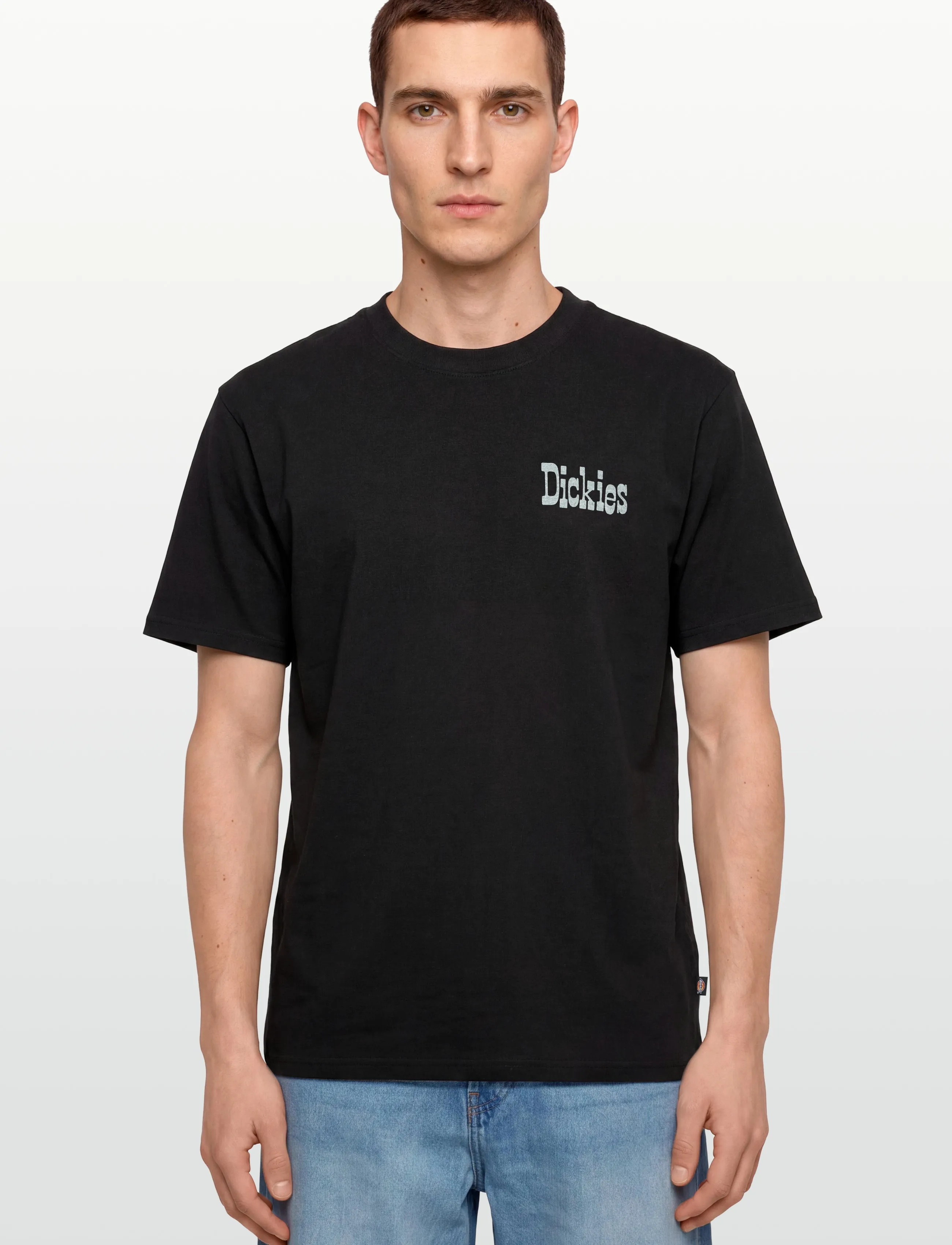 Dickies - VERNAL SS TEE - kurzärmelig - black - 3