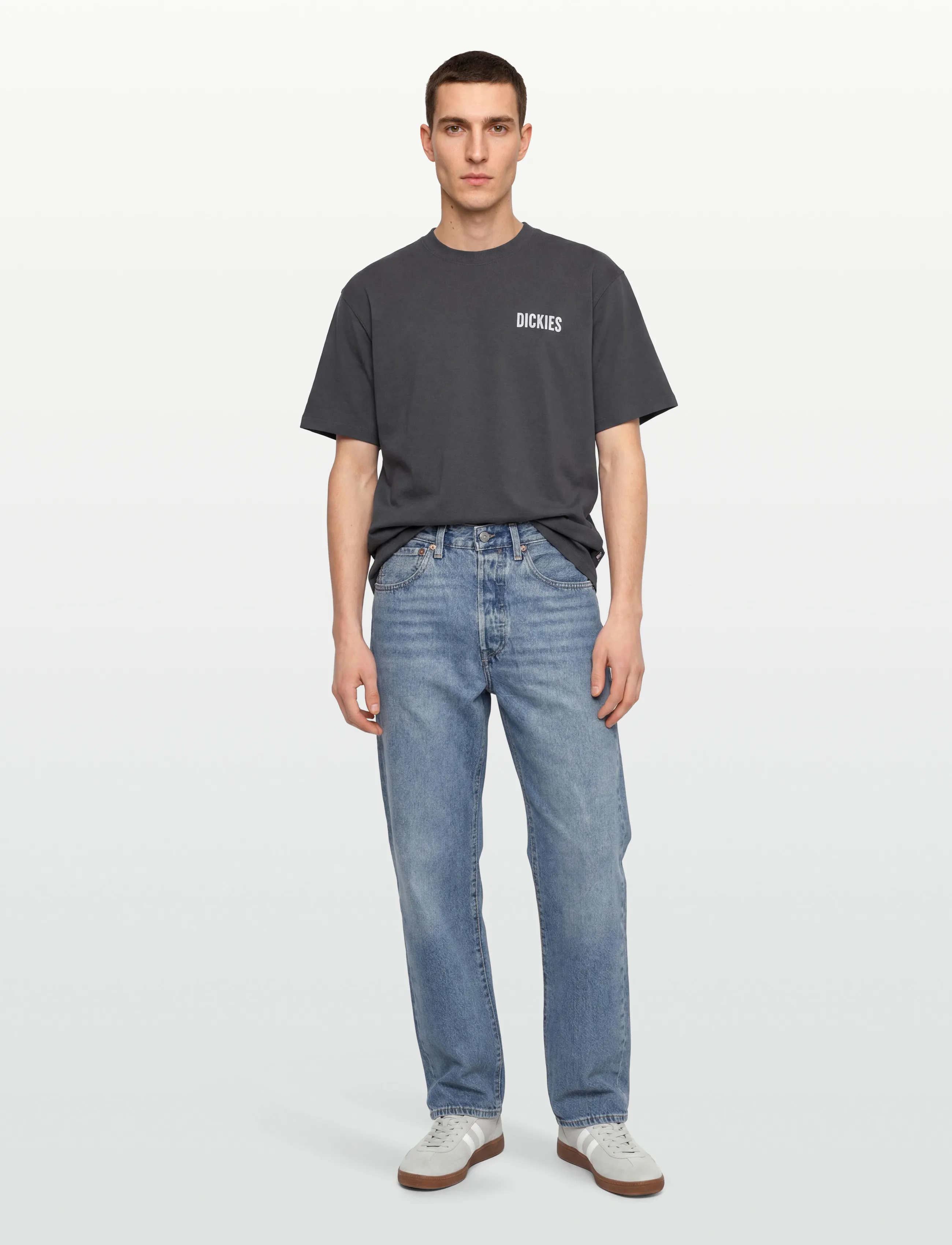 Dickies WOLFHURST SS TEE - T-Shirts - CHARCOAL GREY / grey