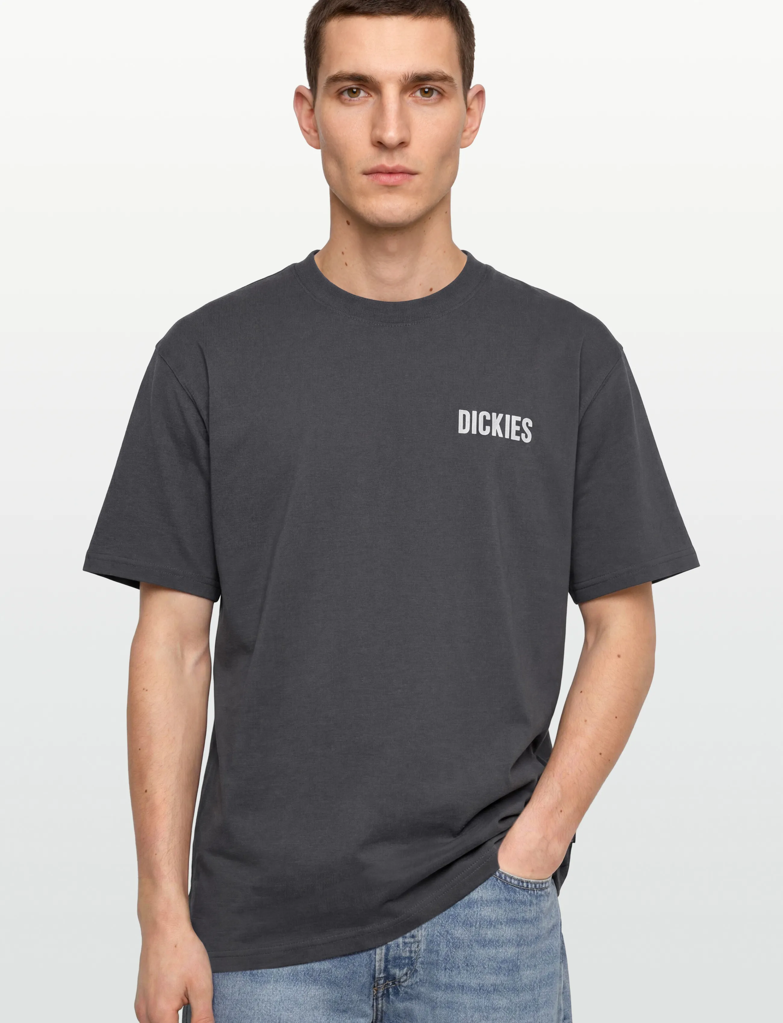 Dickies - WOLFHURST SS TEE - short-sleeved t-shirts - charcoal grey - 3