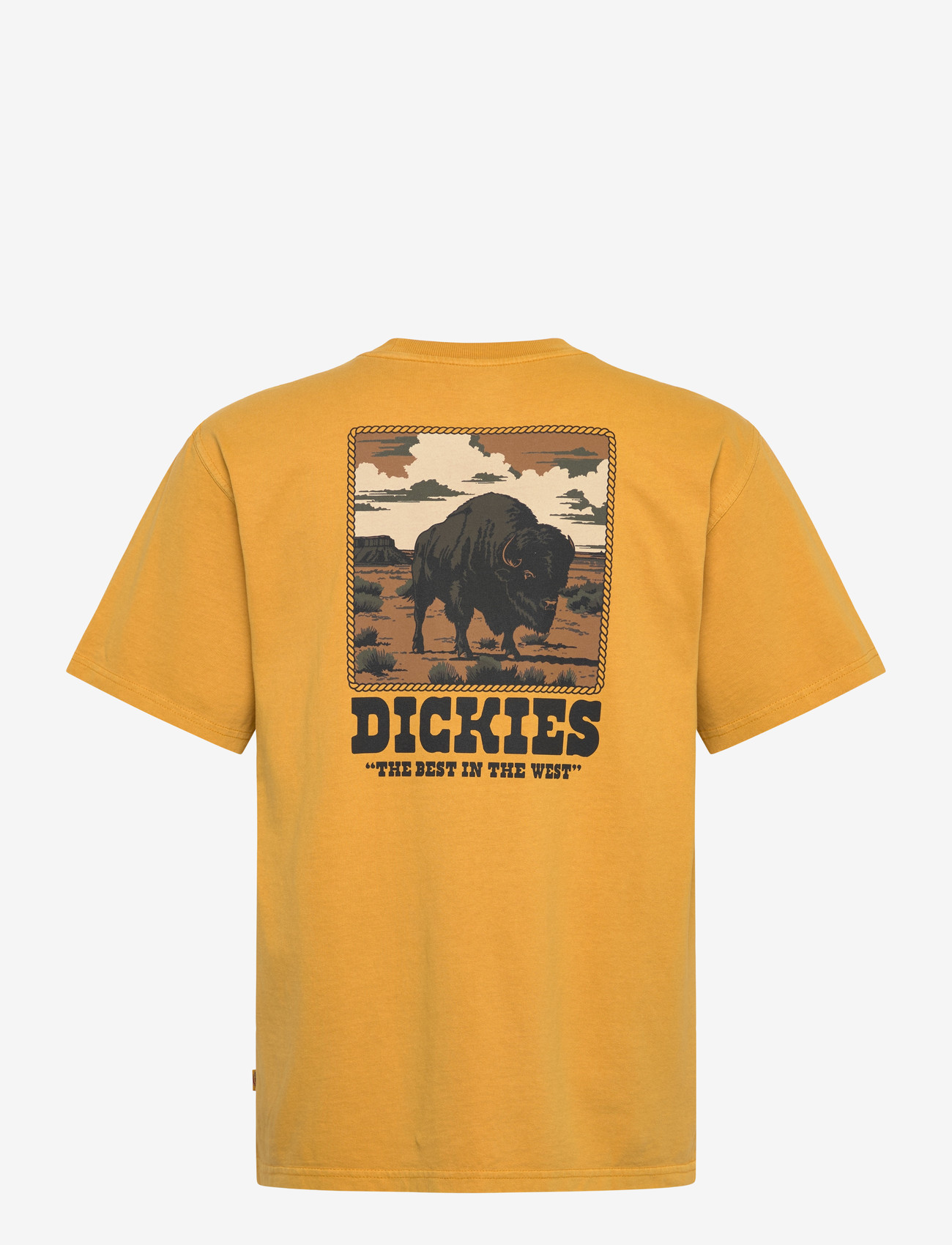 Dickies - DARRTOWN SS TEE - lühikeste varrukatega t-särgid - sunflower - 1