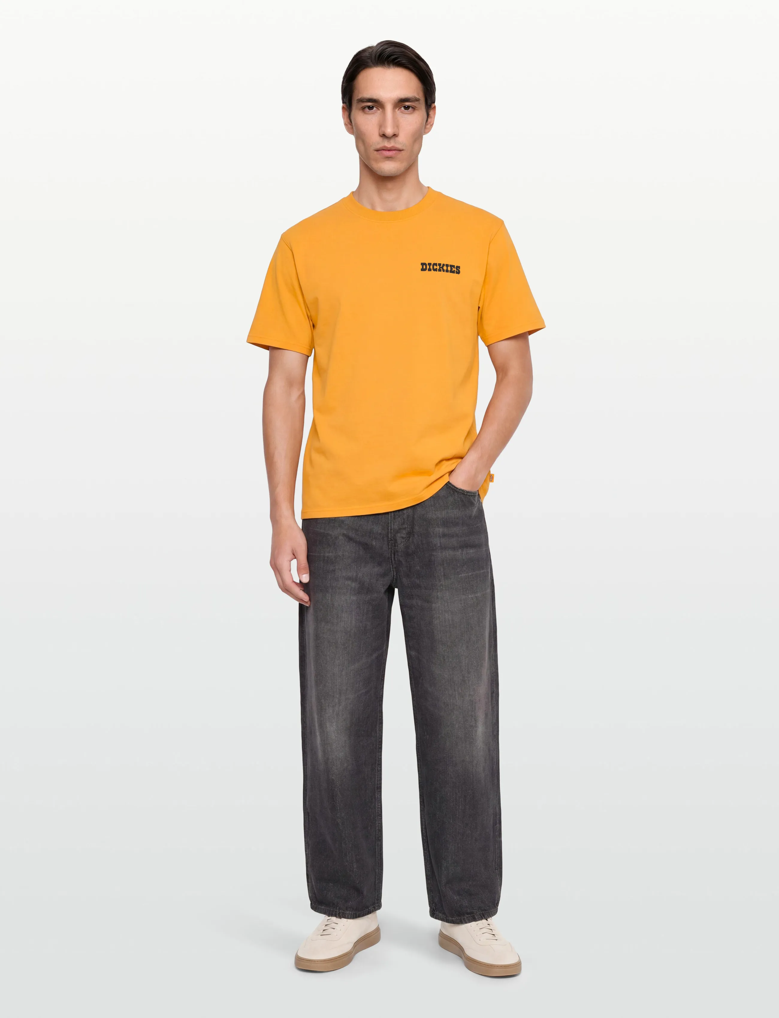 Dickies DARRTOWN SS TEE - Clothing - SUNFLOWER / black