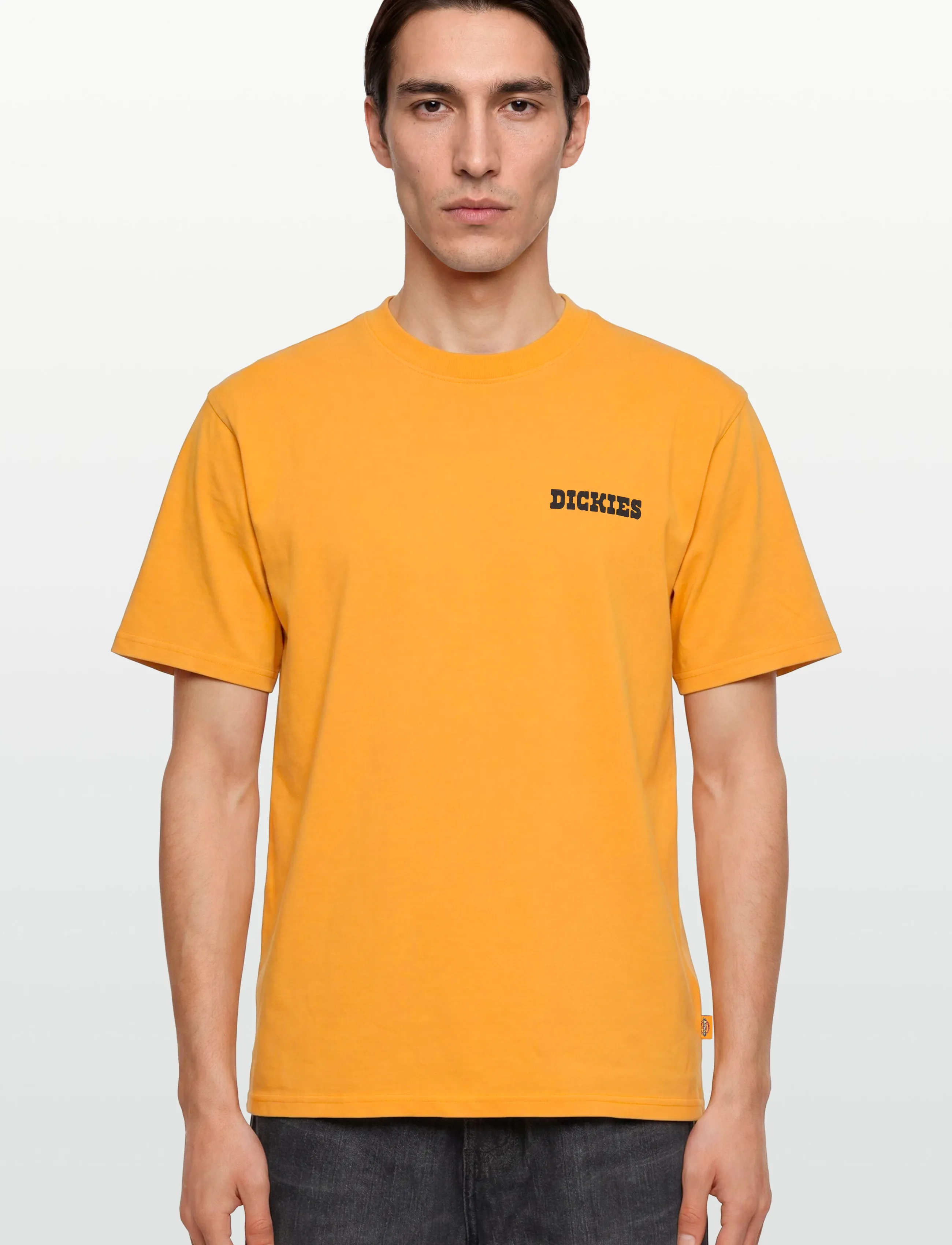 Dickies - DARRTOWN SS TEE - kortærmede t-shirts - sunflower - 3
