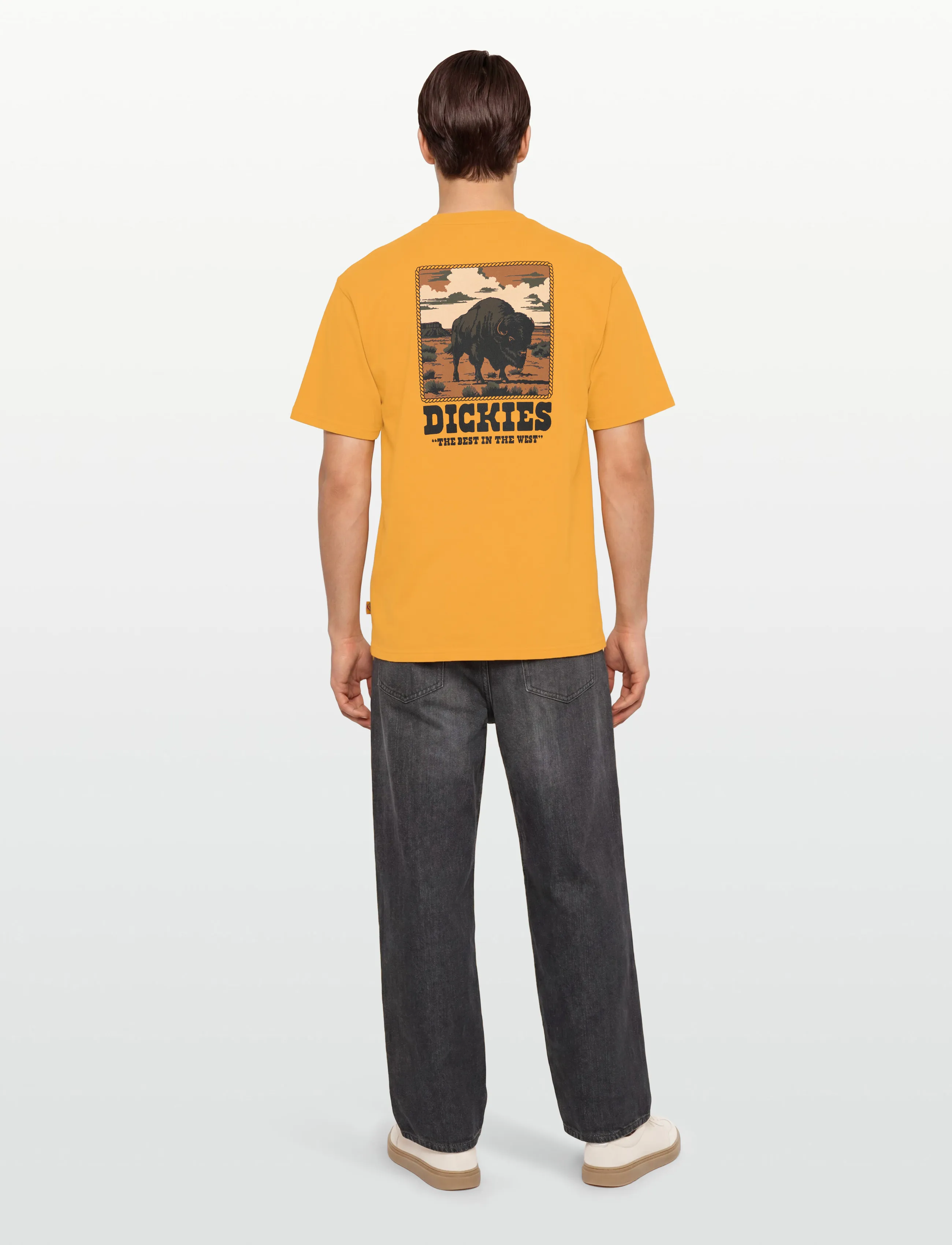 Dickies - DARRTOWN SS TEE - kortærmede t-shirts - sunflower - 4