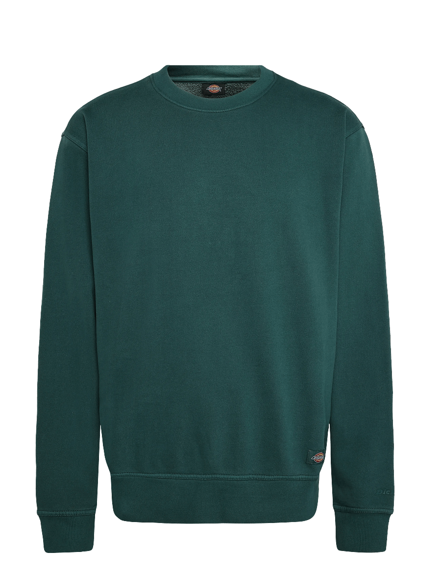 Dickies - SUTCLIFFE SWEATSHIRT - dressipluusid - dark green - 0