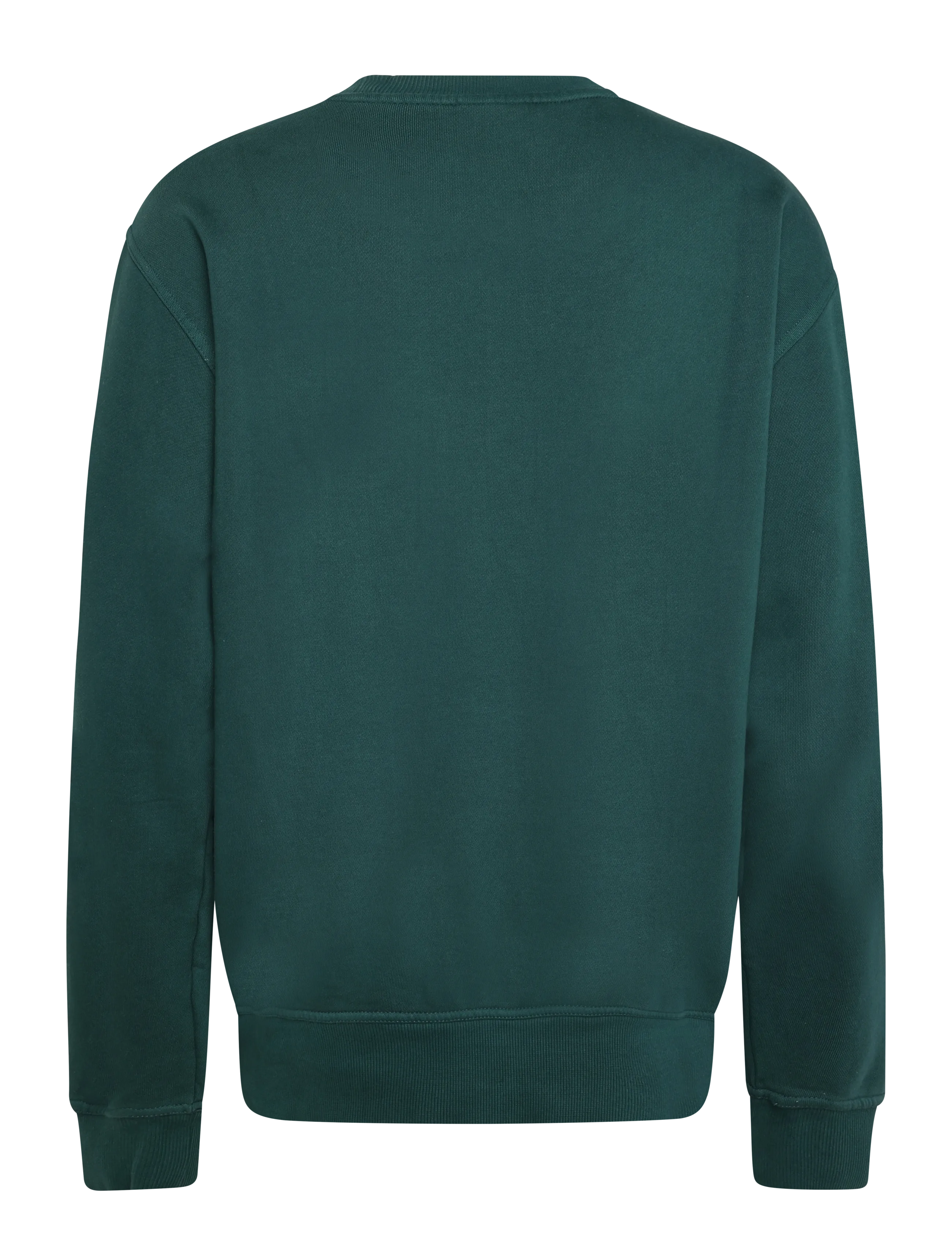 Dickies - SUTCLIFFE SWEATSHIRT - dressipluusid - dark green - 1