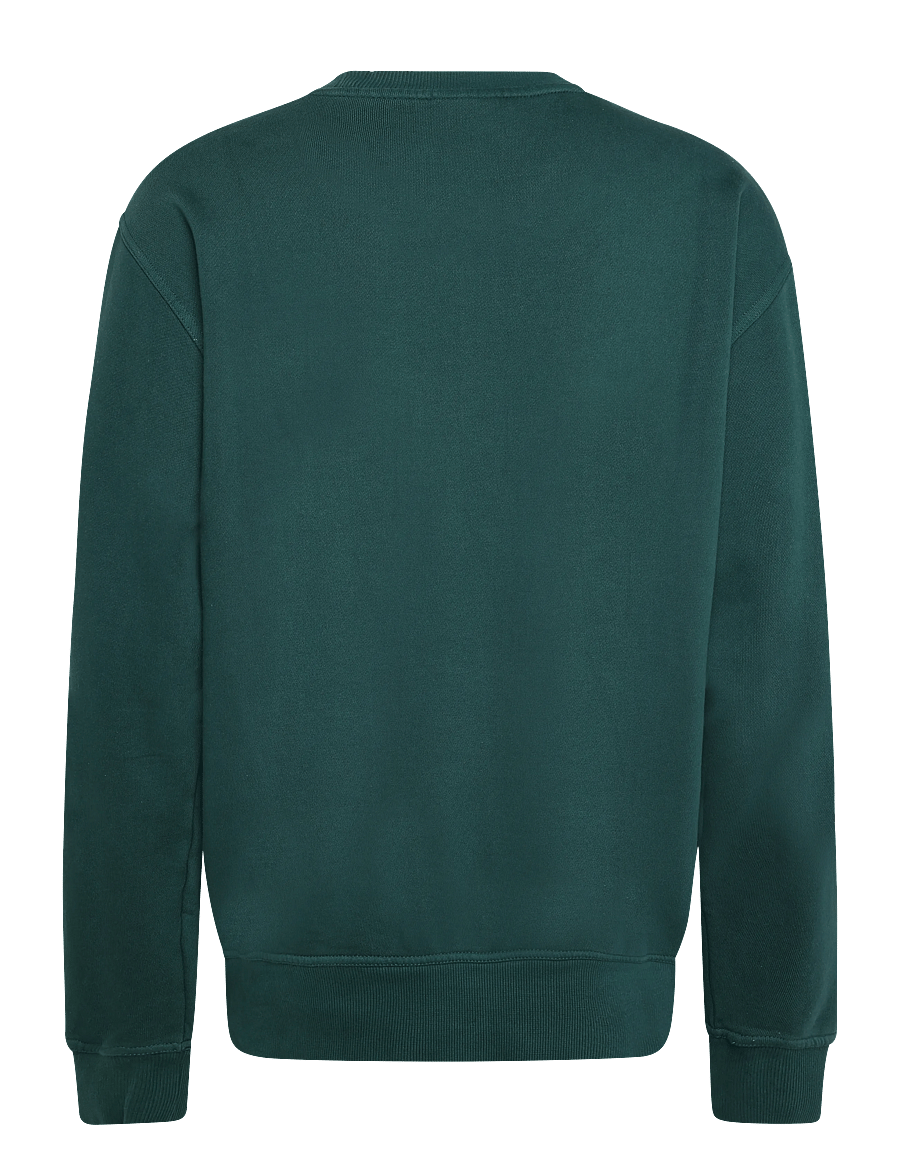 Dickies - SUTCLIFFE SWEATSHIRT - dressipluusid - dark green - 1