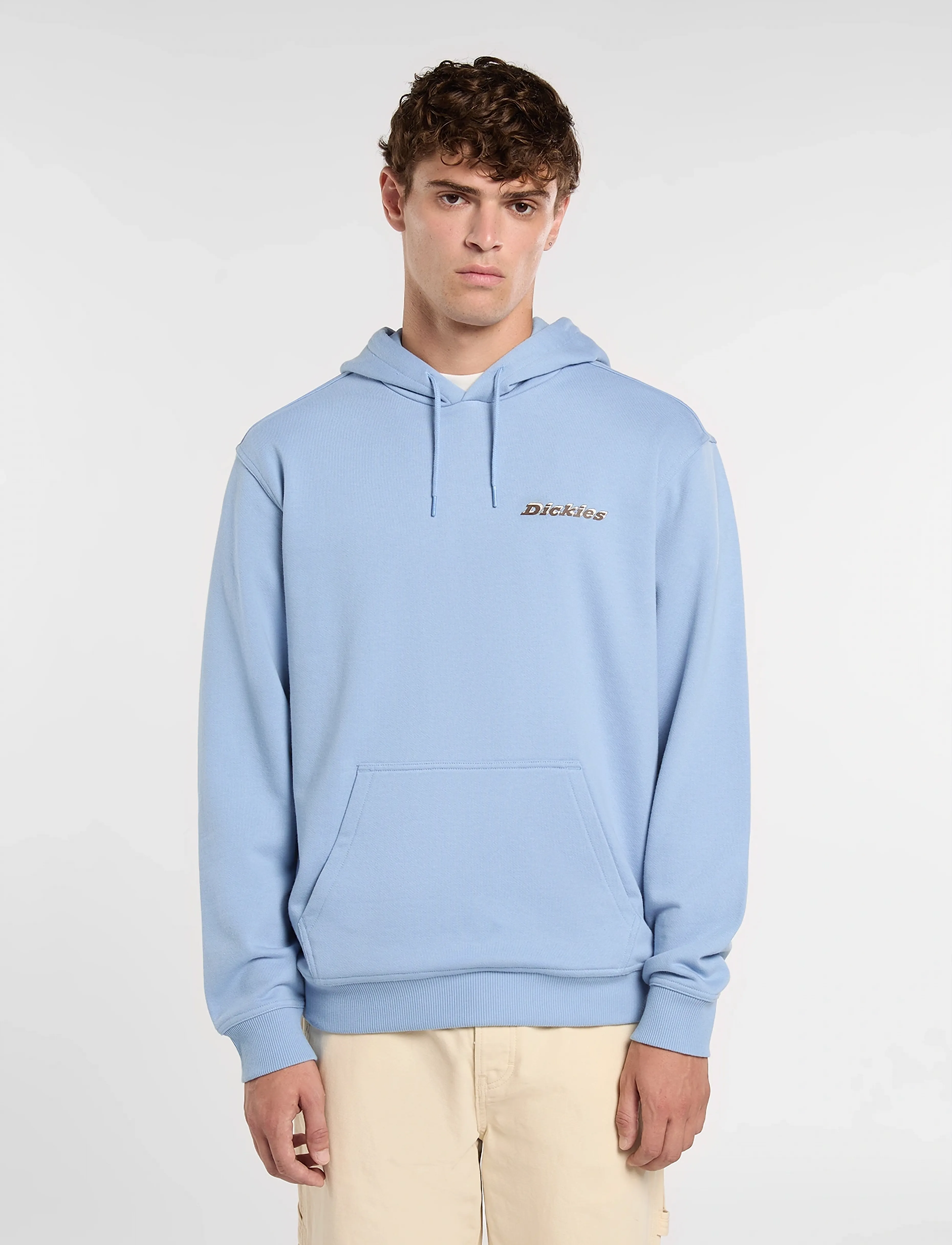 Dickies THORNVILLE HOODIE - Kapuutsiga dressipluusid - ENDLESS SKY / blue