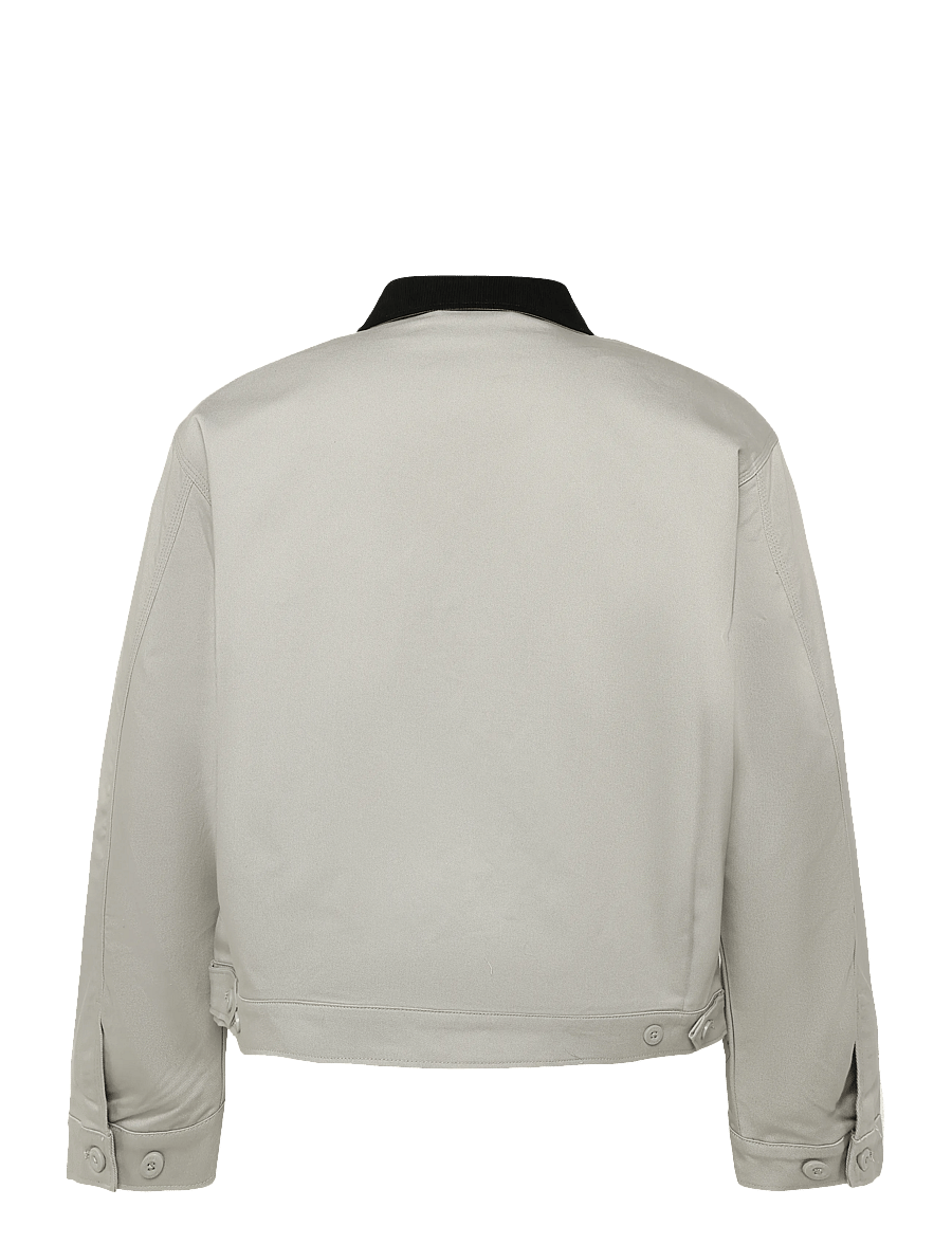 Dickies - 247 PAINTER JACKET - sügisjoped - drizzle - 1