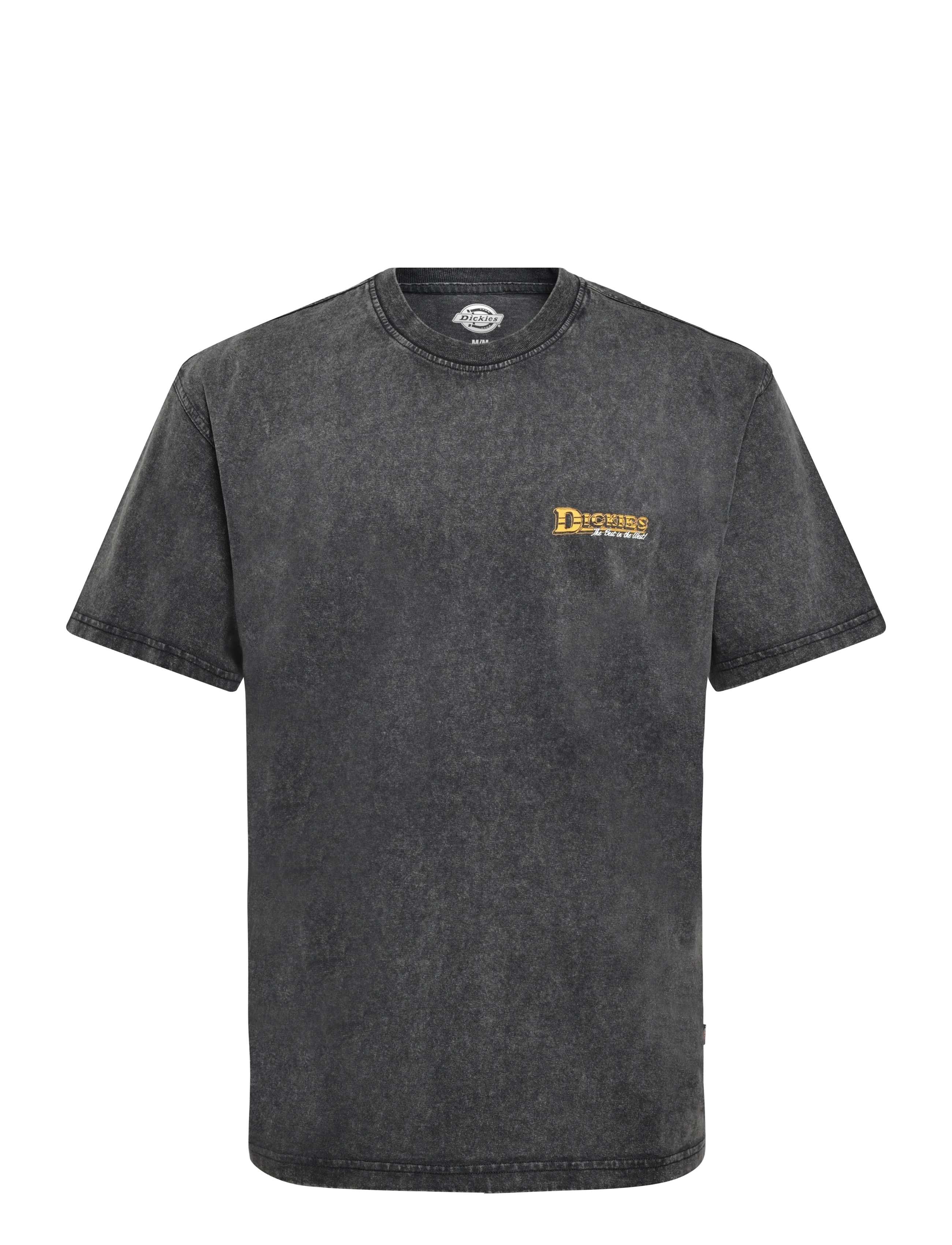 Dickies GAINESVILLE SS TEE - Kleidung - BLACK / black