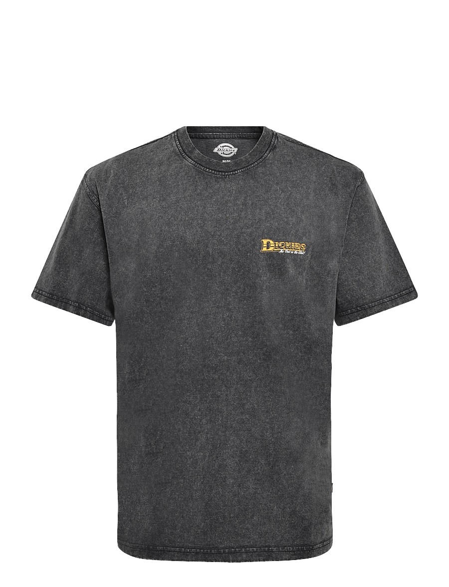 Dickies - GAINESVILLE SS TEE - kurzärmelige t-shirts - black - 0