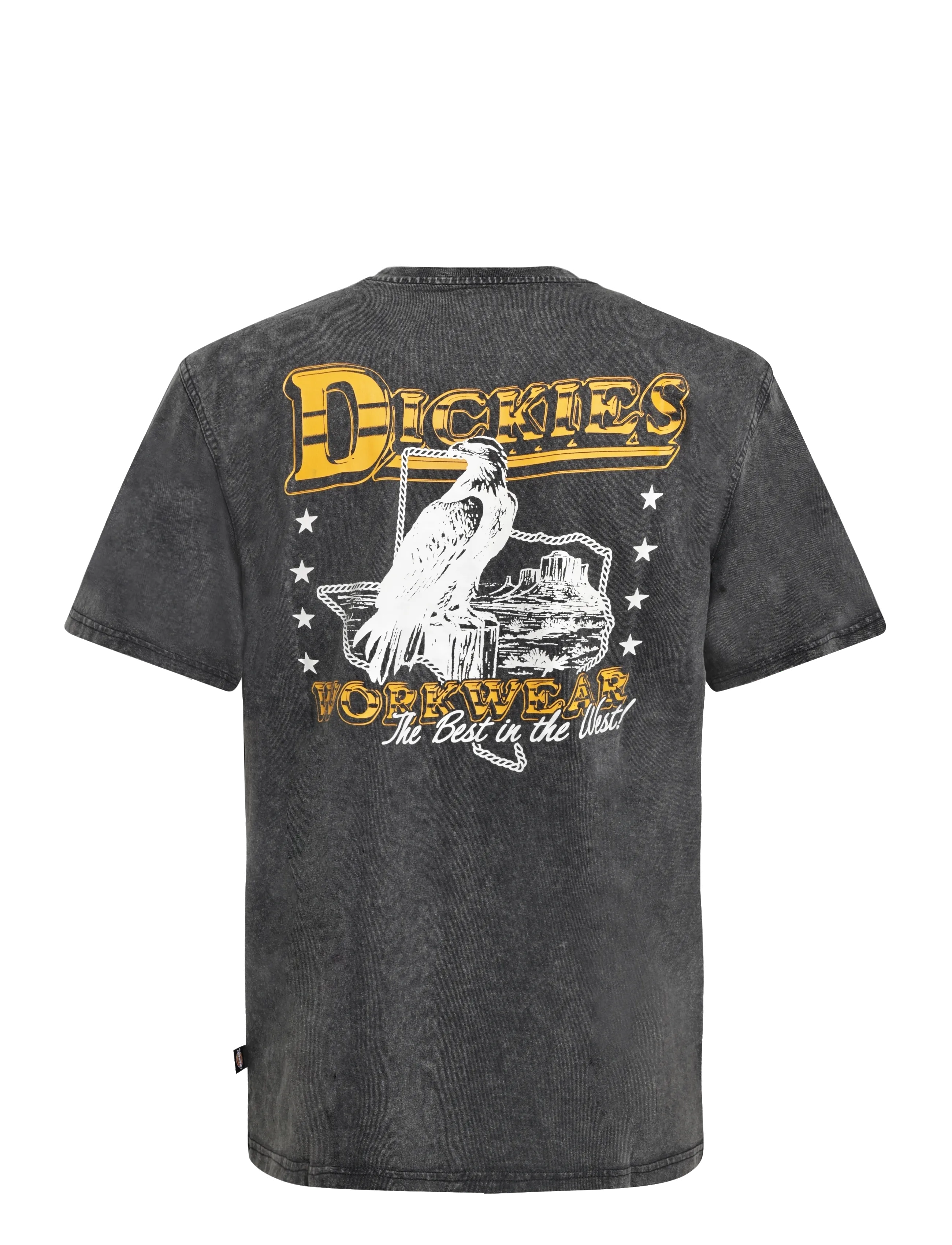 Dickies - GAINESVILLE SS TEE - kurzärmelige t-shirts - black - 1