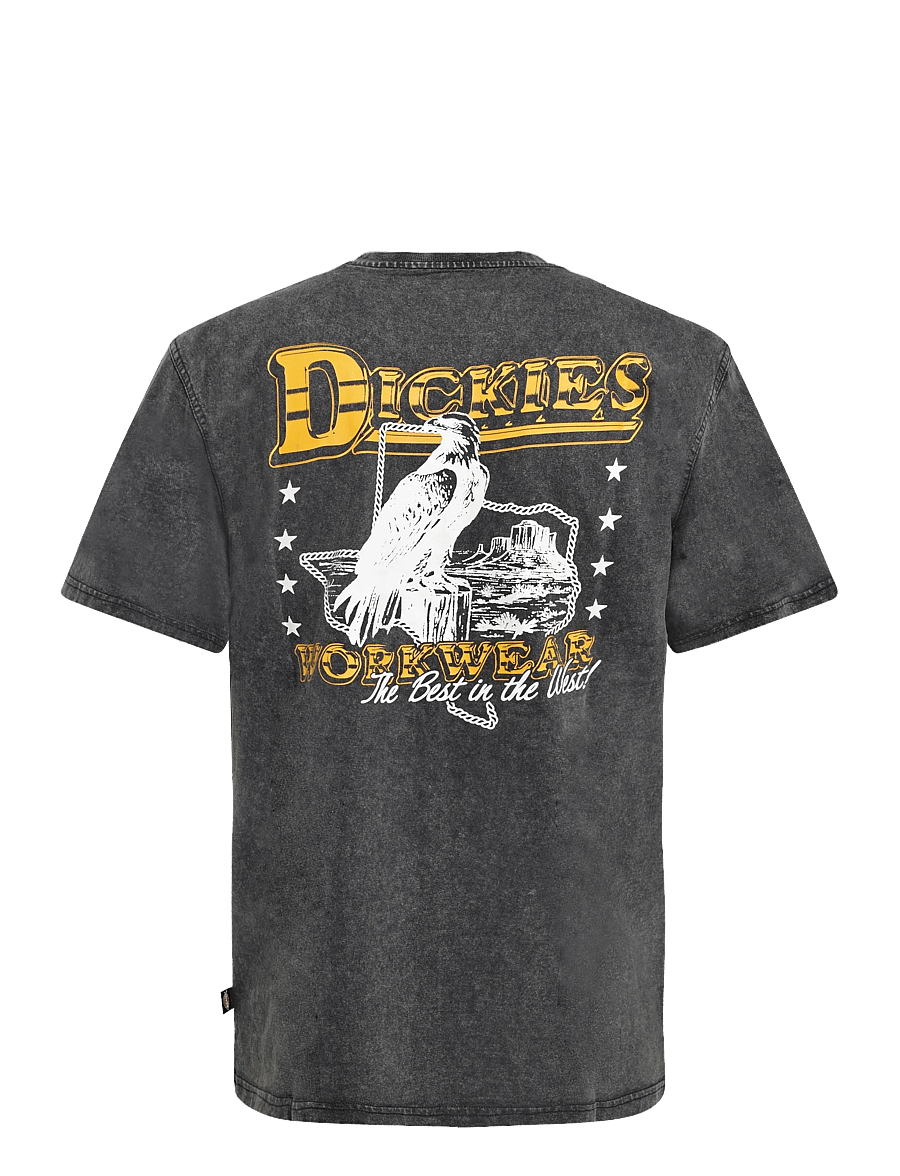 Dickies - GAINESVILLE SS TEE - kurzärmelige t-shirts - black - 1