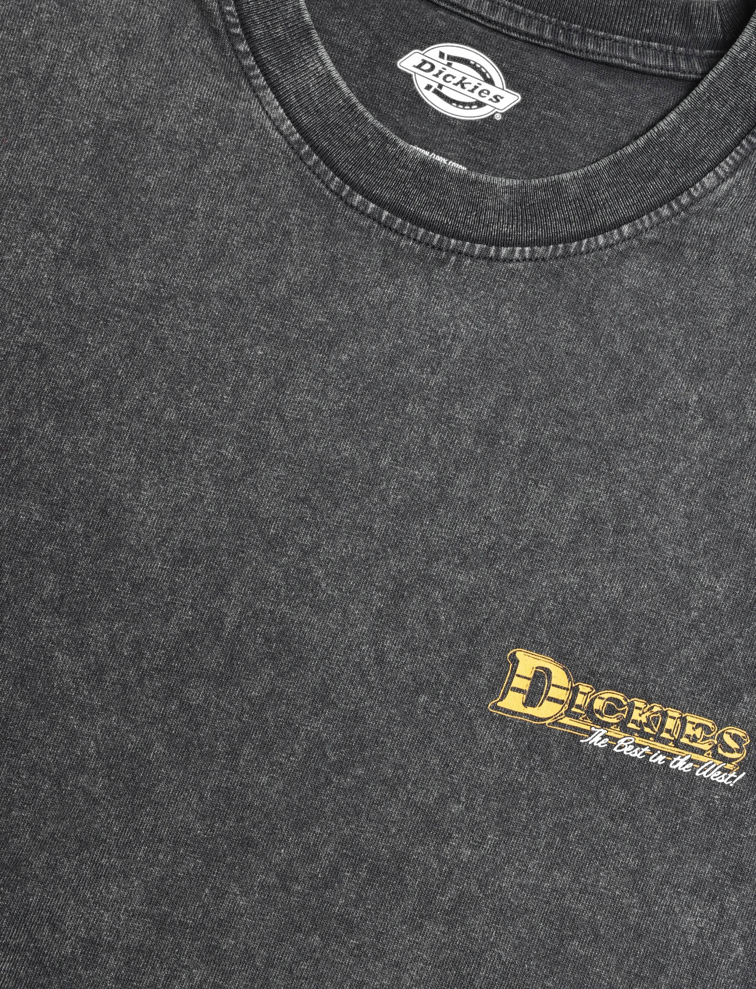 Dickies - GAINESVILLE SS TEE - kurzärmelige t-shirts - black - 2