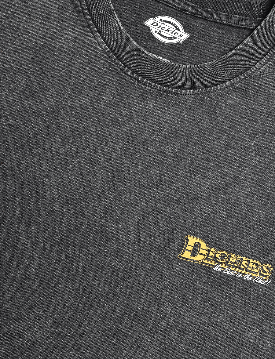 Dickies - GAINESVILLE SS TEE - kurzärmelige t-shirts - black - 2