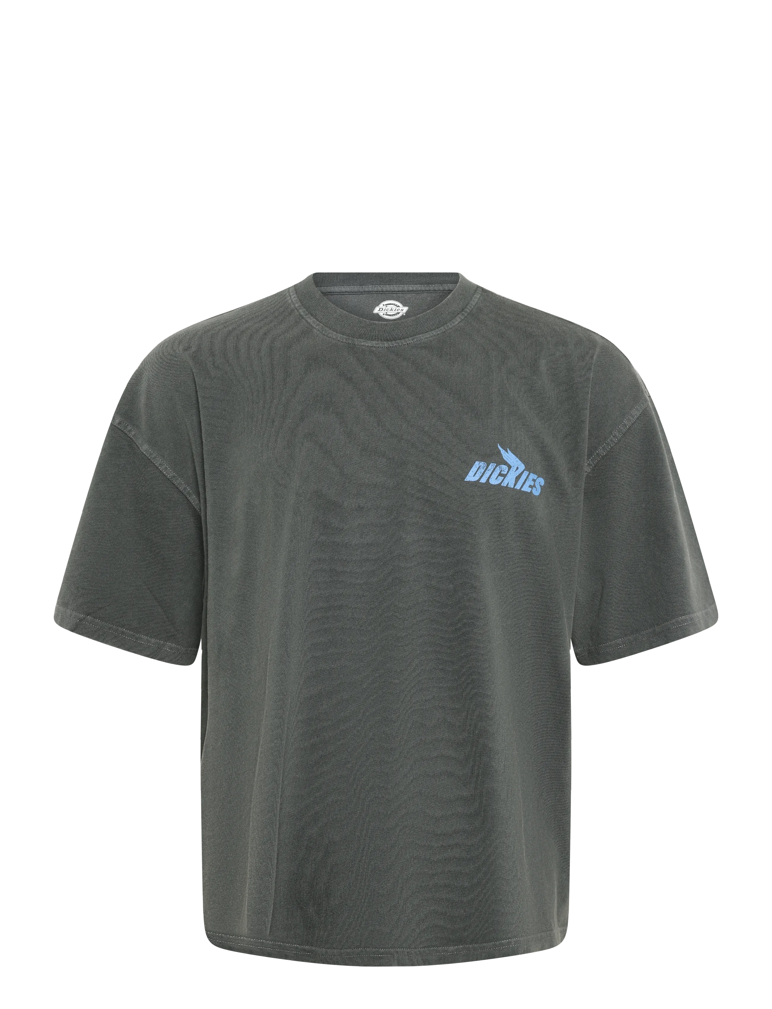 Dickies SHONTO SS TEE - T-shirts - BLACK / black
