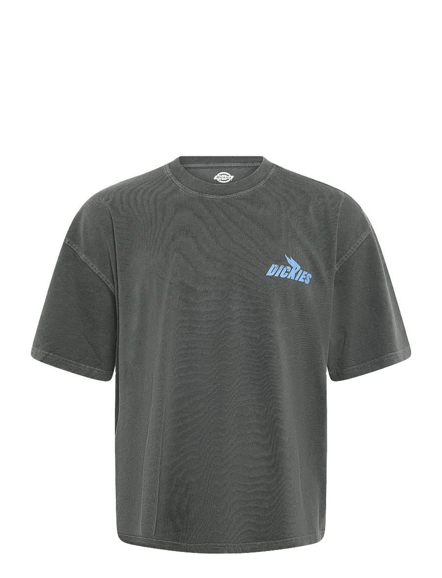 Dickies - SHONTO SS TEE - kortærmede t-shirts - black - 0
