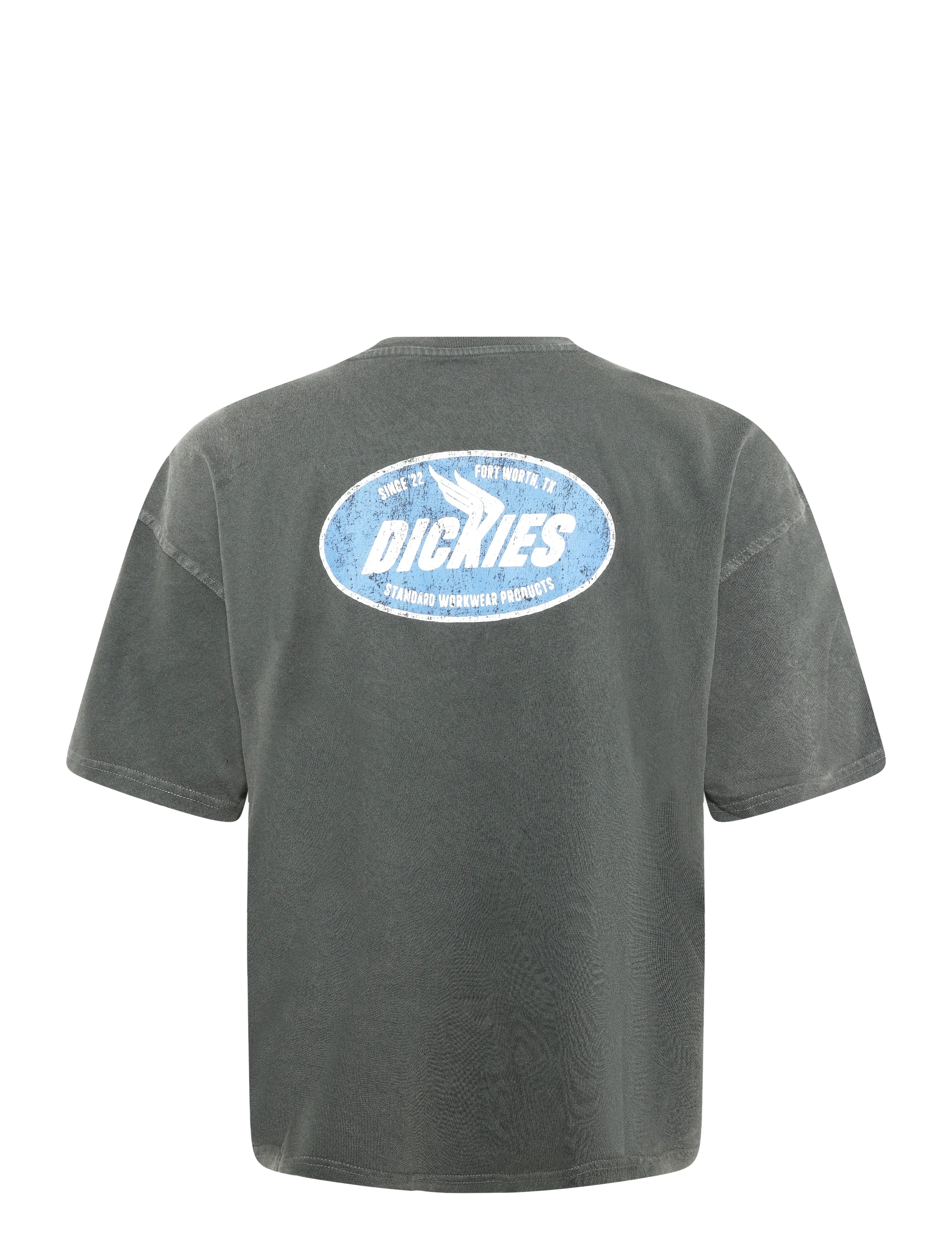 Dickies - SHONTO SS TEE - kortærmede t-shirts - black - 1