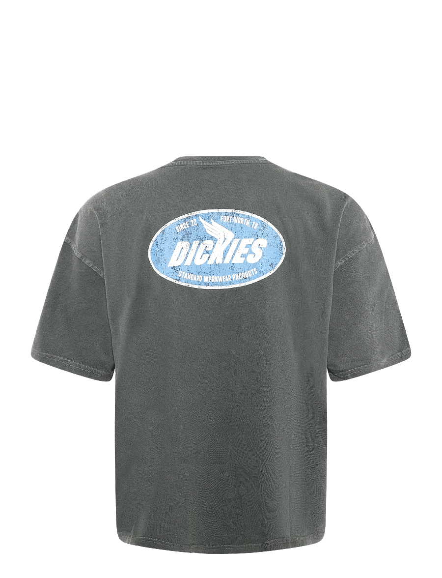 Dickies - SHONTO SS TEE - kortærmede t-shirts - black - 1