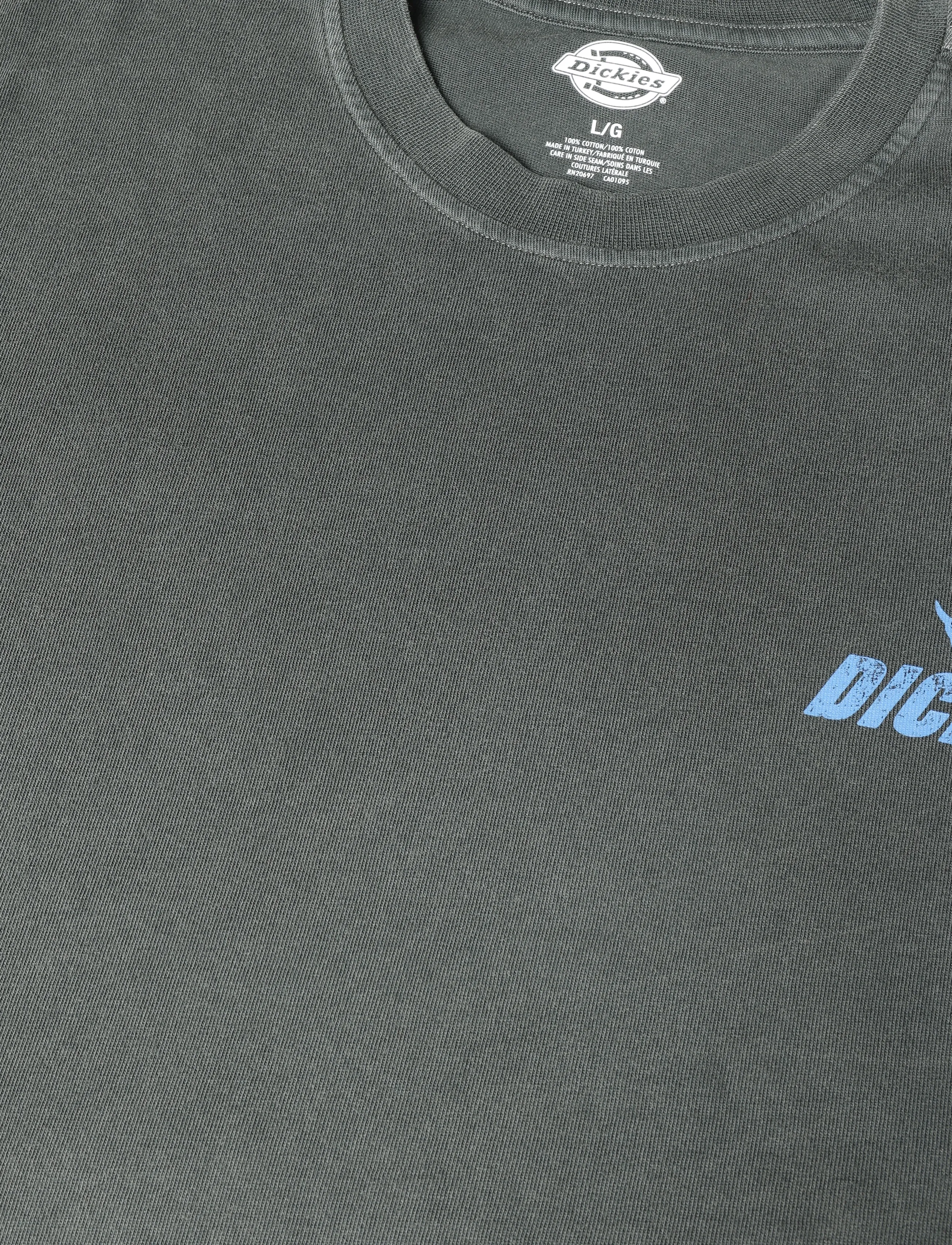 Dickies - SHONTO SS TEE - kortærmede t-shirts - black - 2