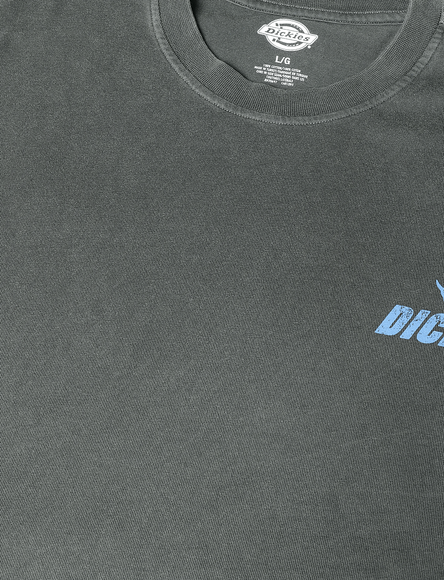 Dickies - SHONTO SS TEE - kortærmede t-shirts - black - 2