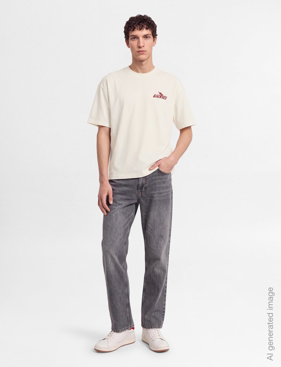 Dickies - SHONTO SS TEE - kortærmede t-shirts - egret - 0