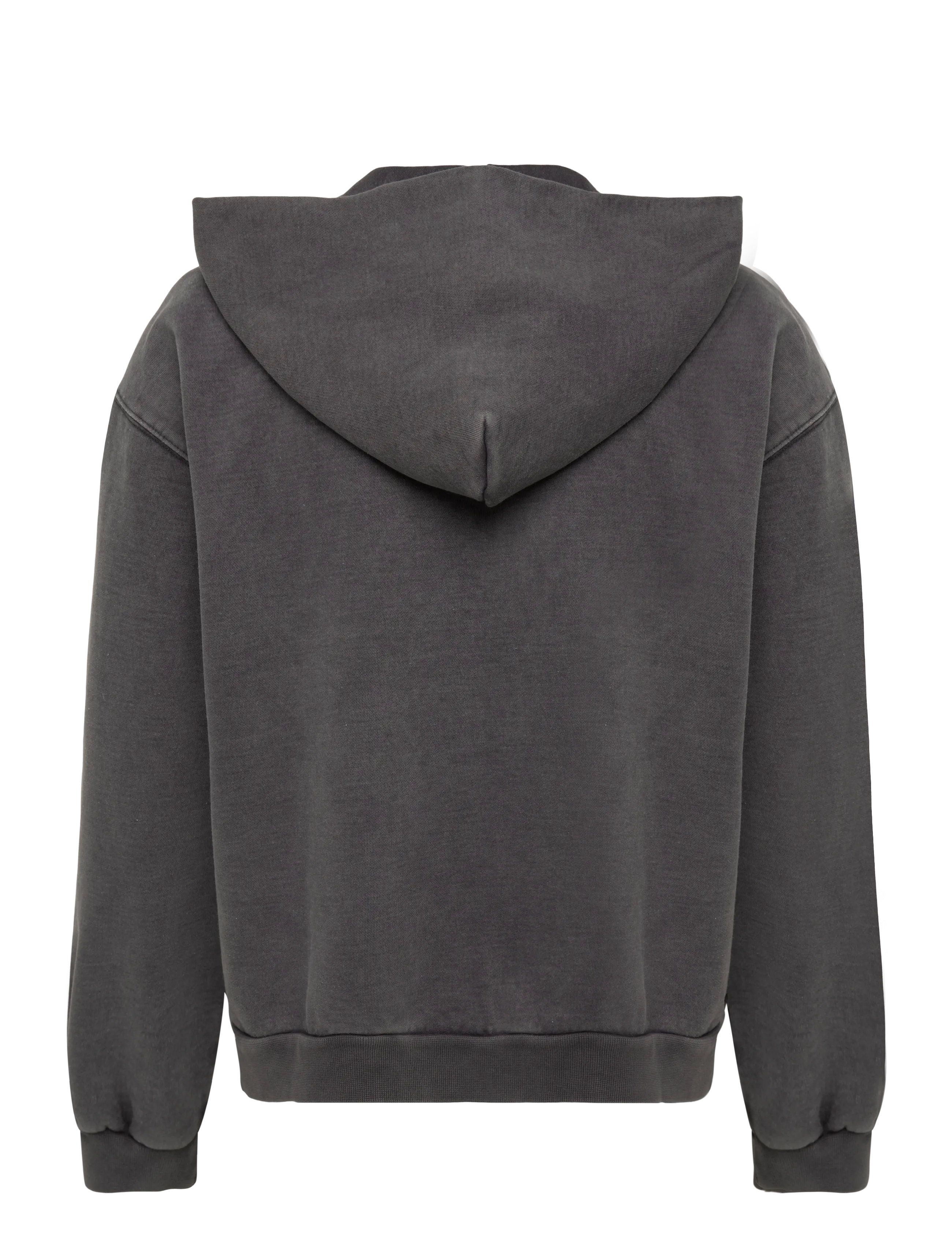 Dickies - BAKER ZIPPED HOODIE - black - 1
