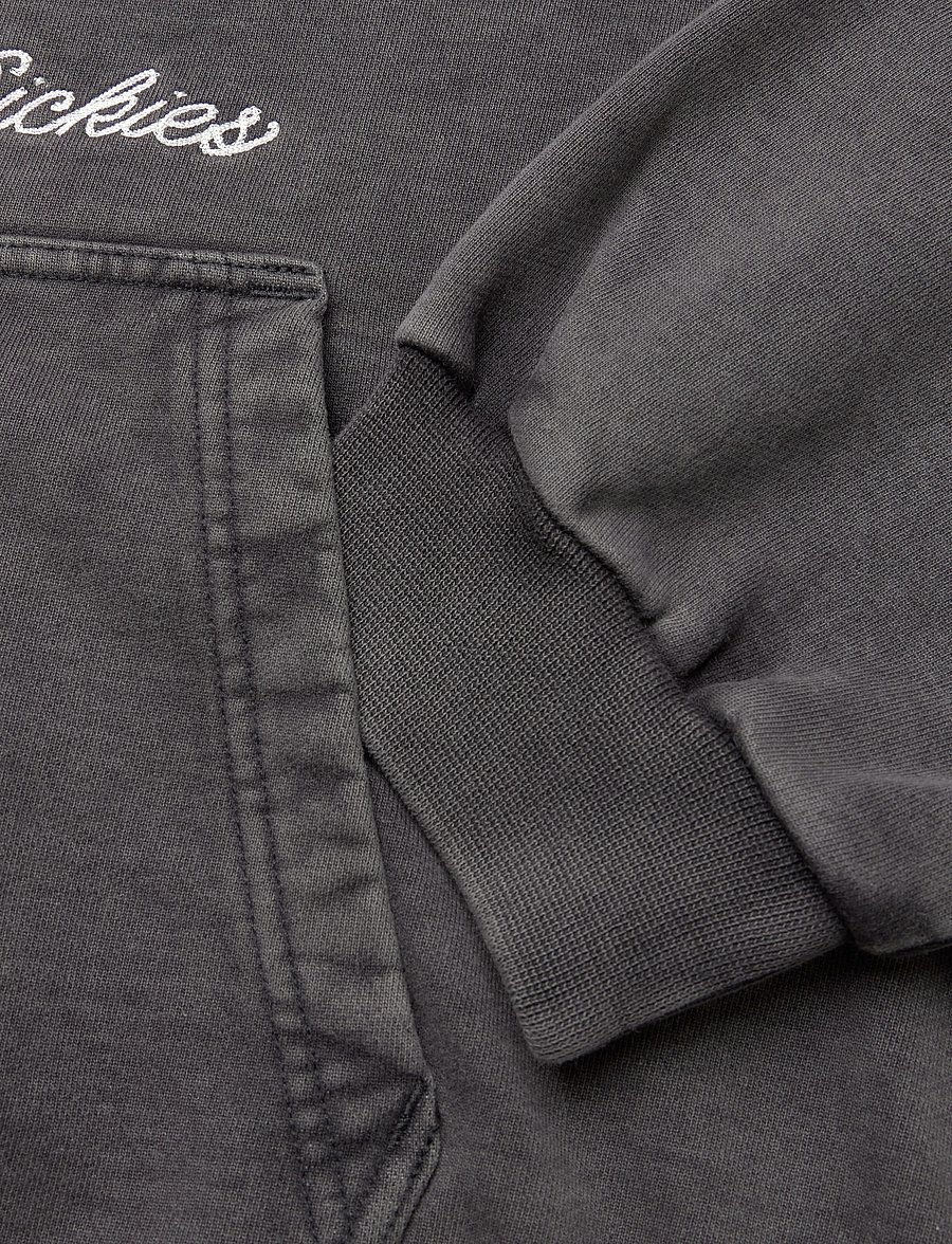 Dickies - BAKER ZIPPED HOODIE - hoodies - black - 3