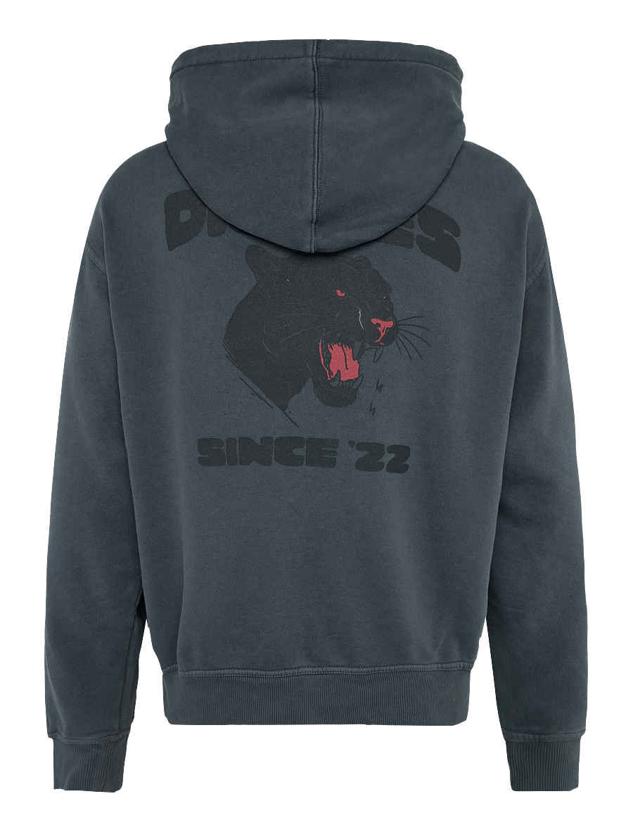 Dickies - MCDERMITT HOODIE - hoodies - charcoal - 1
