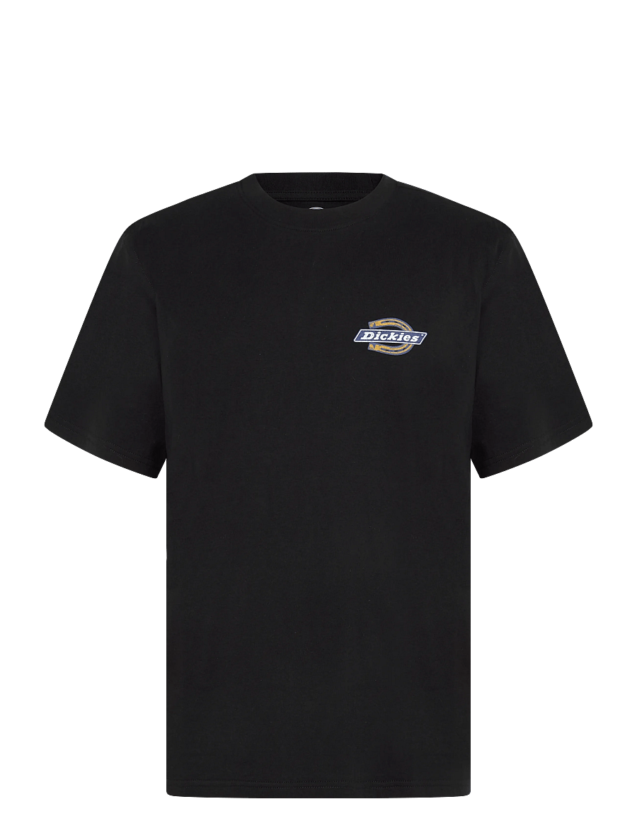 Dickies - PARADISE SS TEE - kurzärmelige t-shirts - black - 0