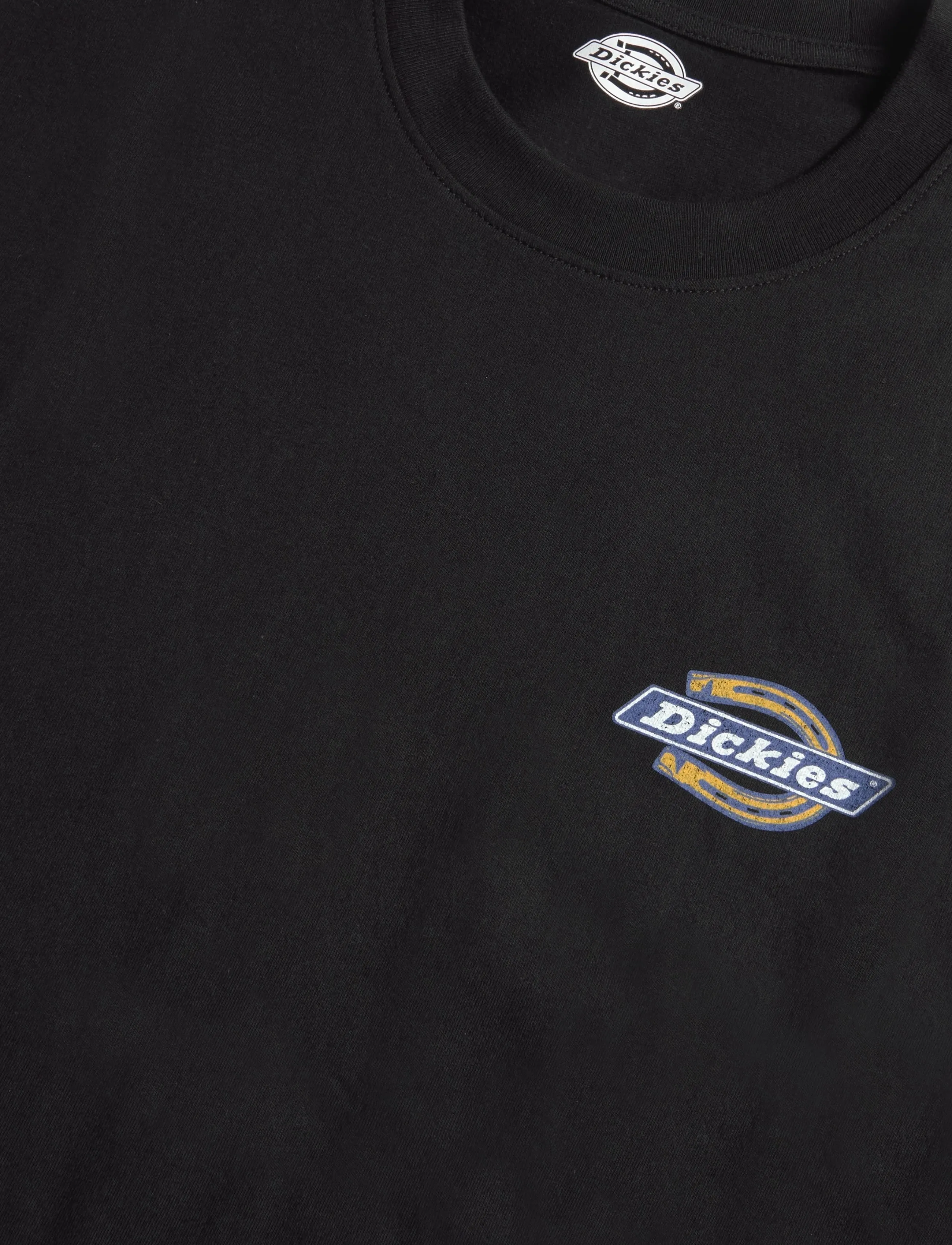Dickies - PARADISE SS TEE - kurzärmelige t-shirts - black - 2