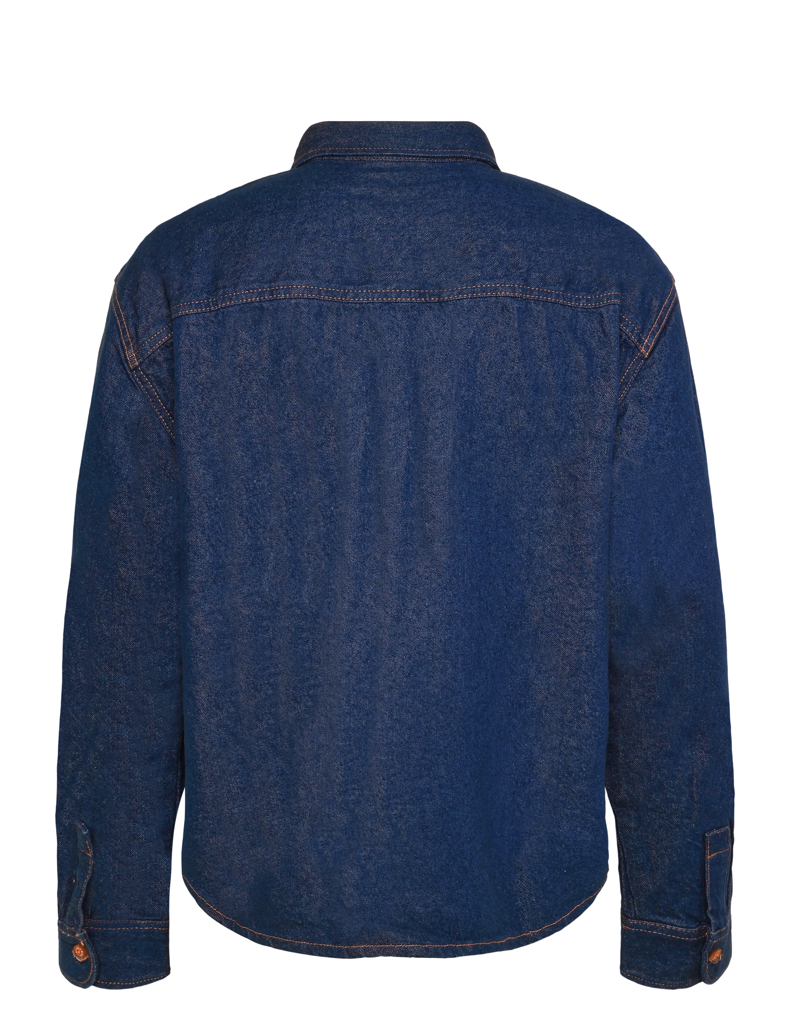 Dickies - MECHANIC DENIM SHIRT - jeansskjortor - raw - 1