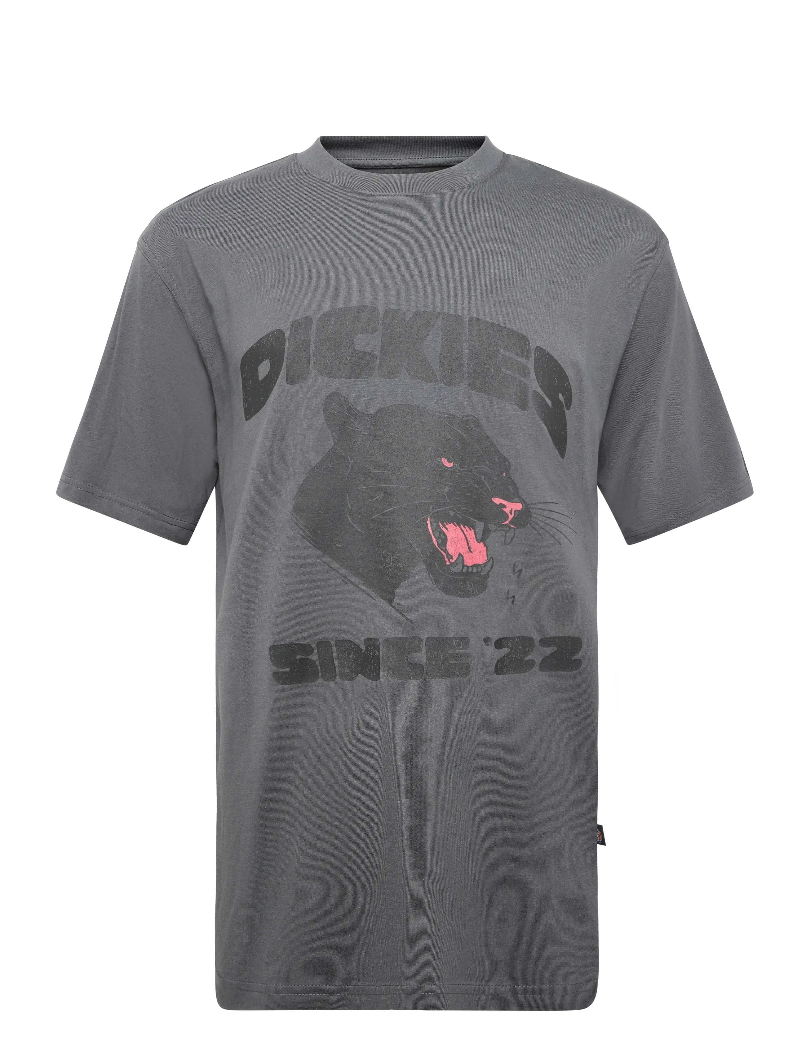 Dickies MCDERMITT SS TEE - Kortärmade t-shirts - CHARCOAL / grey