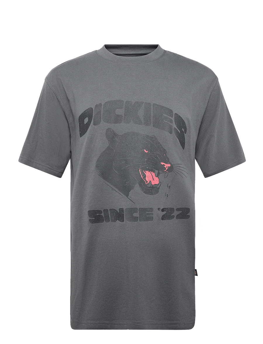 Dickies - MCDERMITT SS TEE - kortärmade t-shirts - charcoal - 0