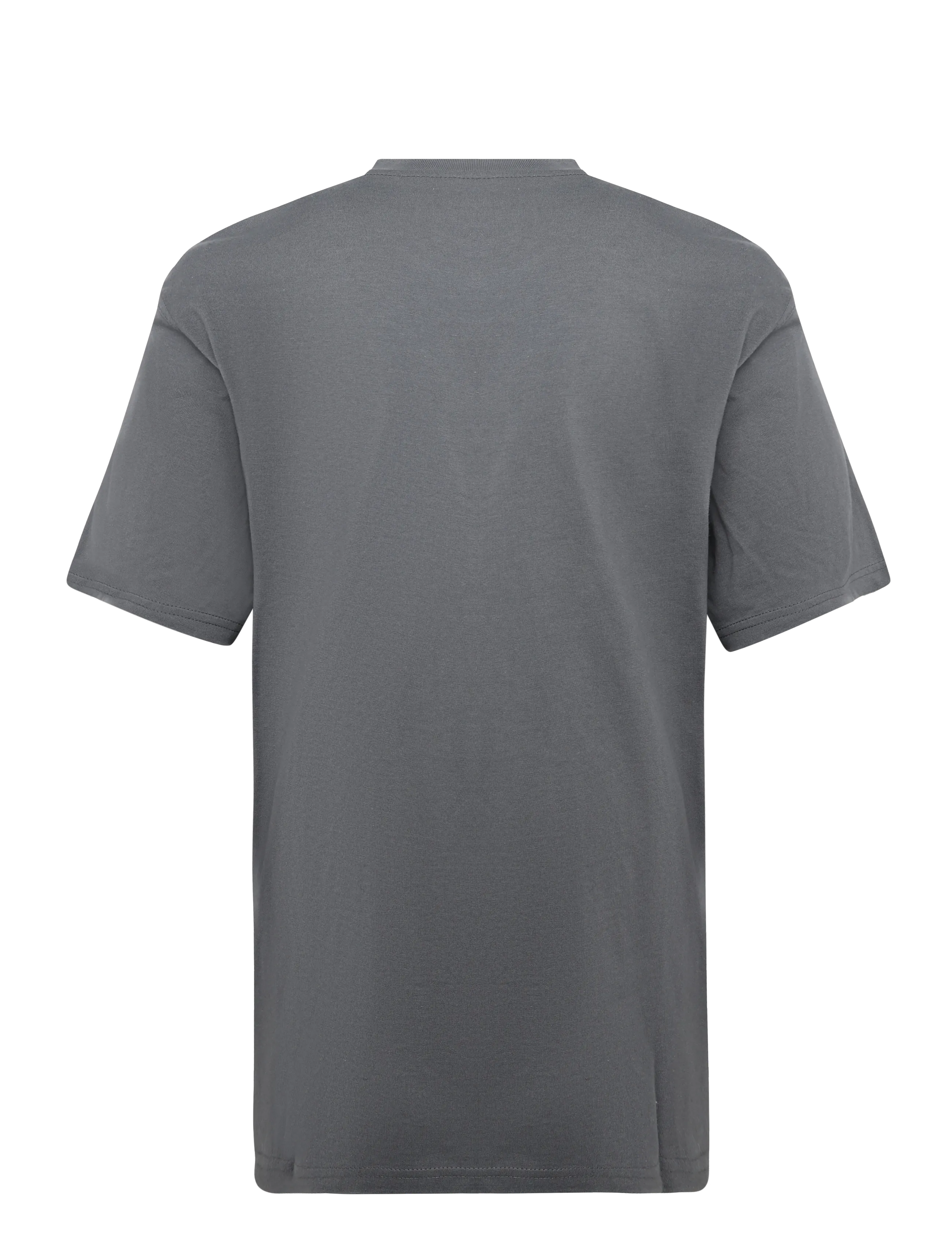 Dickies - MCDERMITT SS TEE - kortärmade t-shirts - charcoal - 1