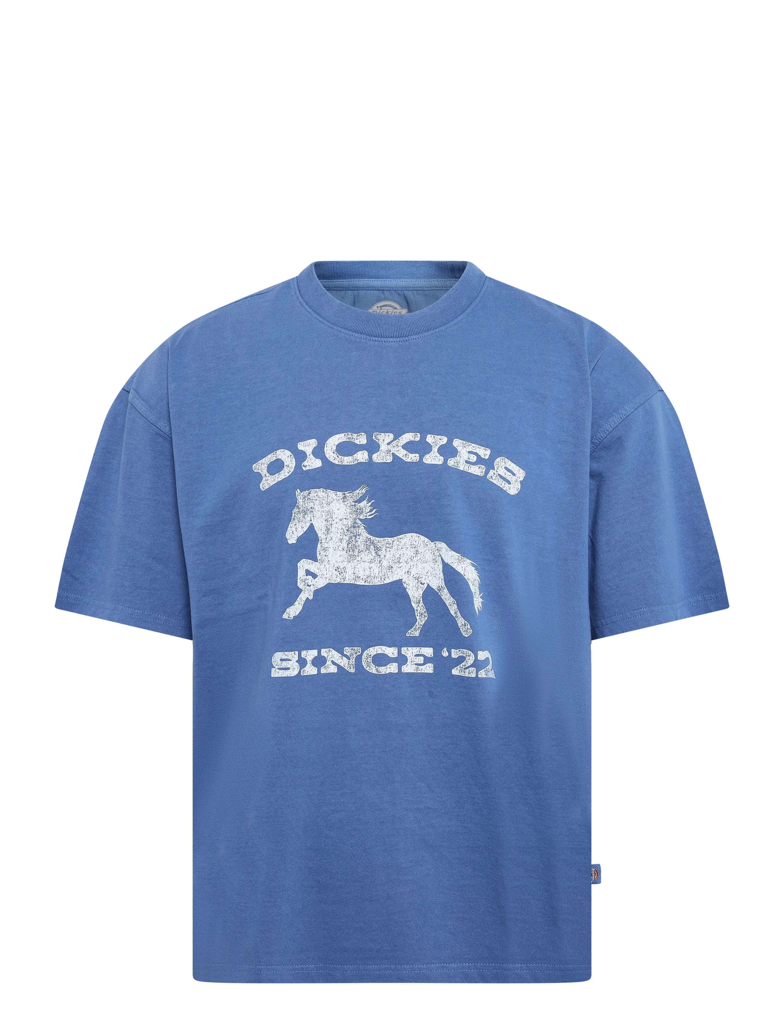 Dickies OWYHEE SS TEE - Dickies - DUTCH BLUE / blue