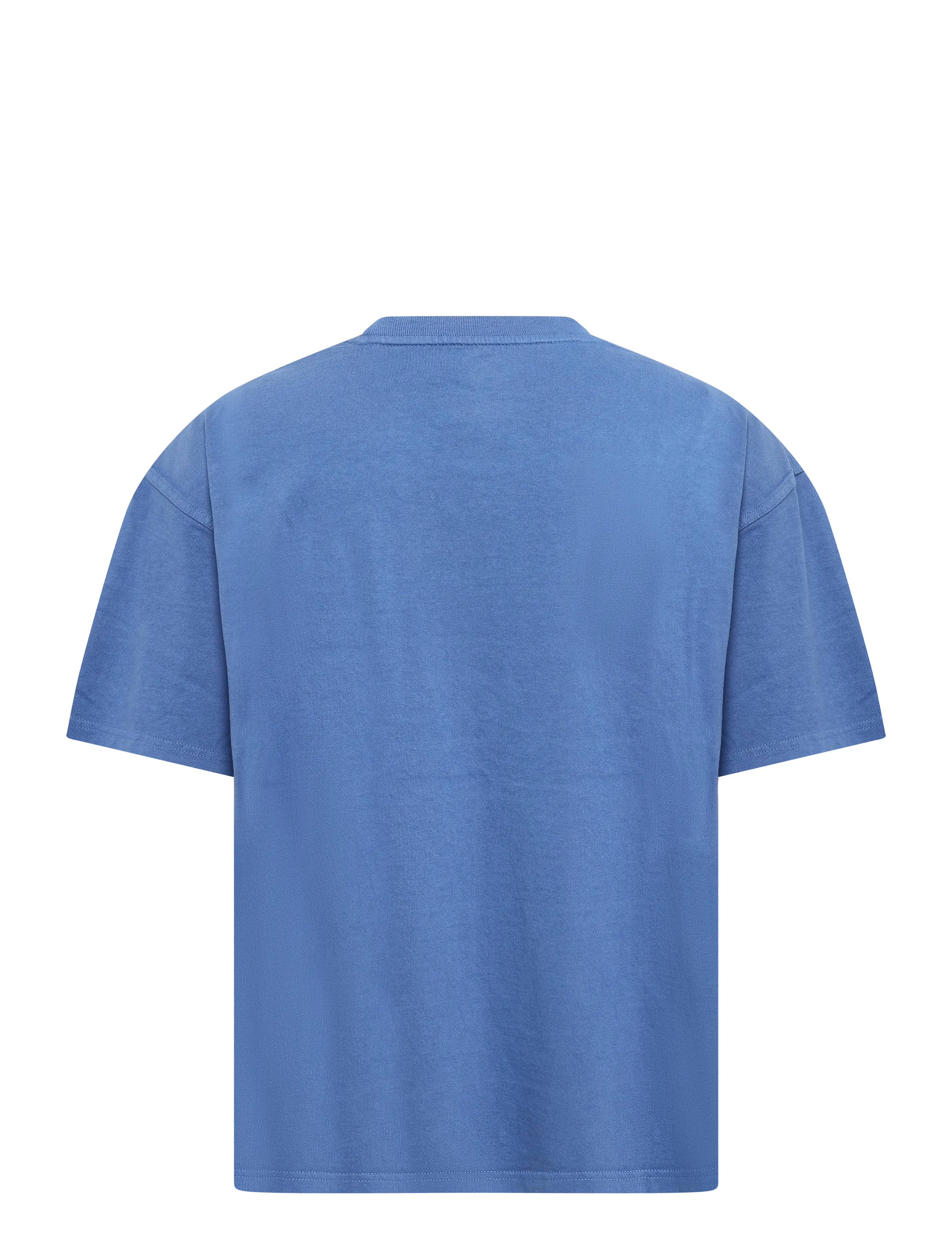Dickies - OWYHEE SS TEE - dutch blue - 1