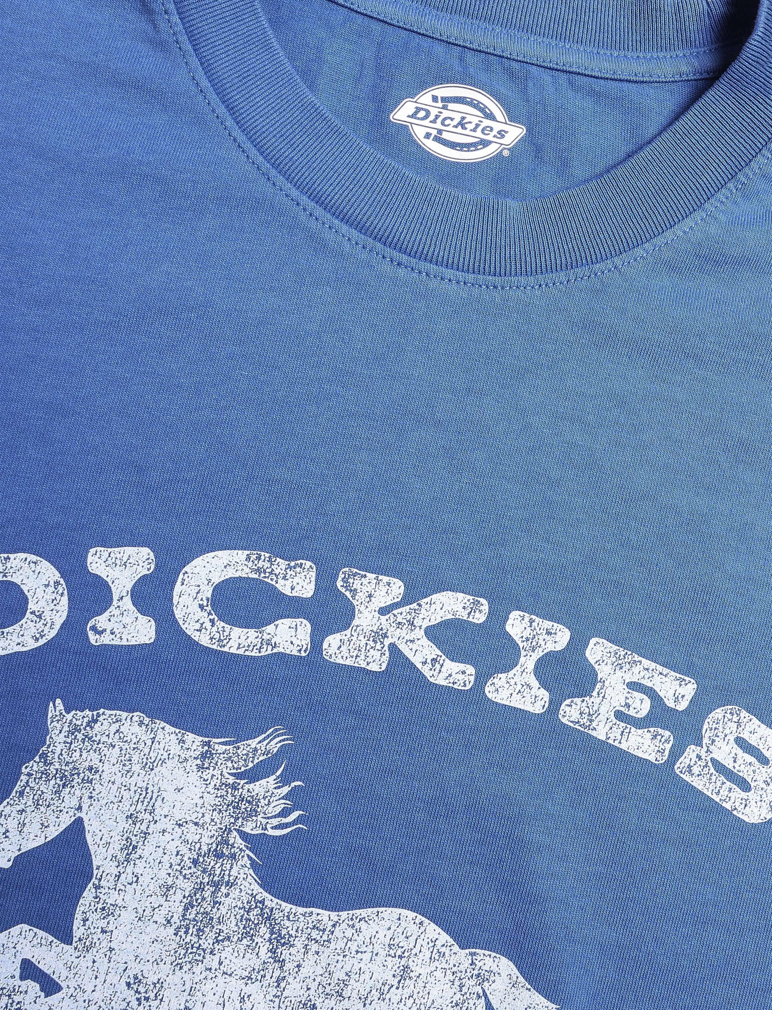 Dickies - OWYHEE SS TEE - dutch blue - 2