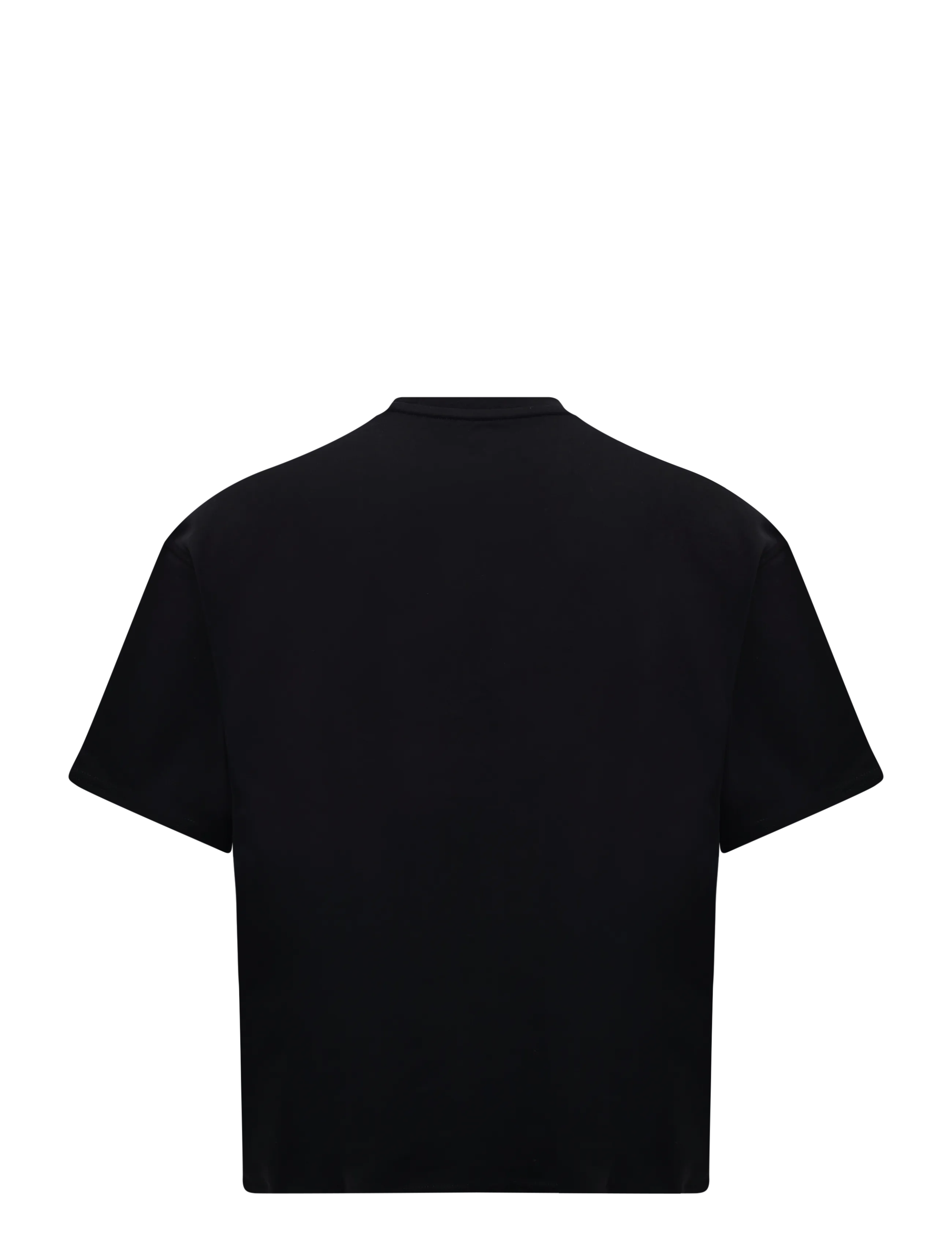 Dickies - APALACHICOLSA SS TEE - kortärmade t-shirts - black - 1