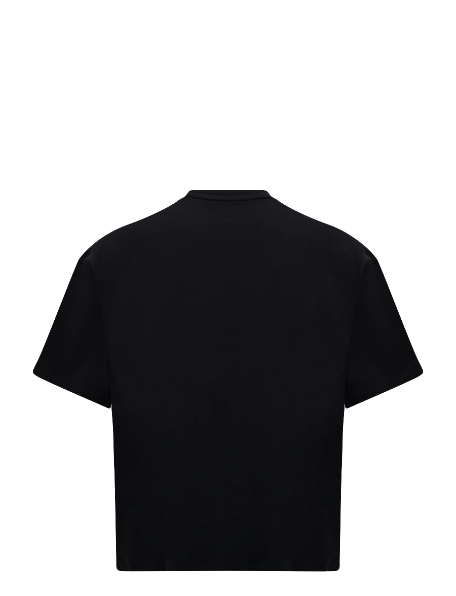 Dickies - APALACHICOLSA SS TEE - kortärmade t-shirts - black - 1