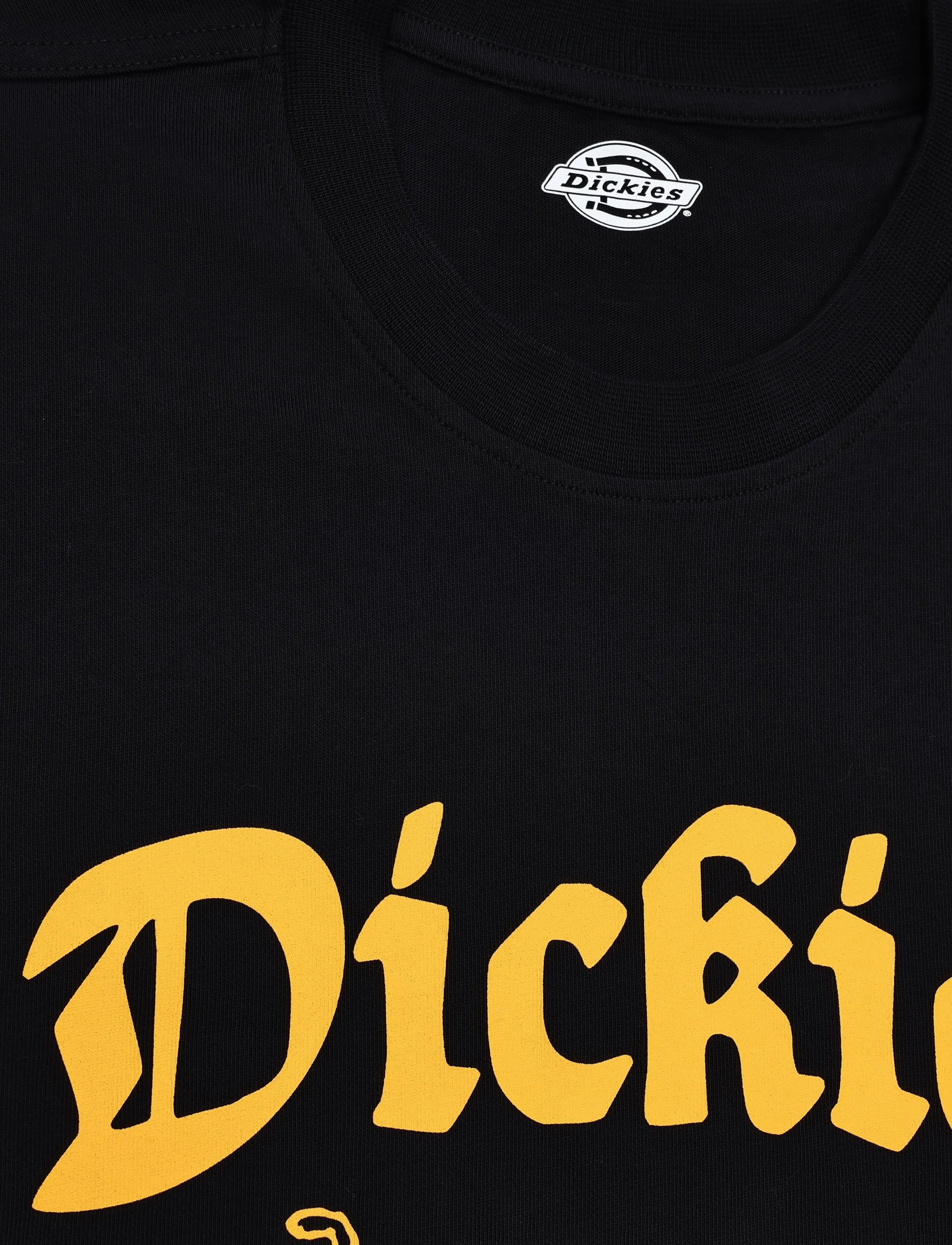 Dickies - APALACHICOLSA SS TEE - kortärmade t-shirts - black - 2