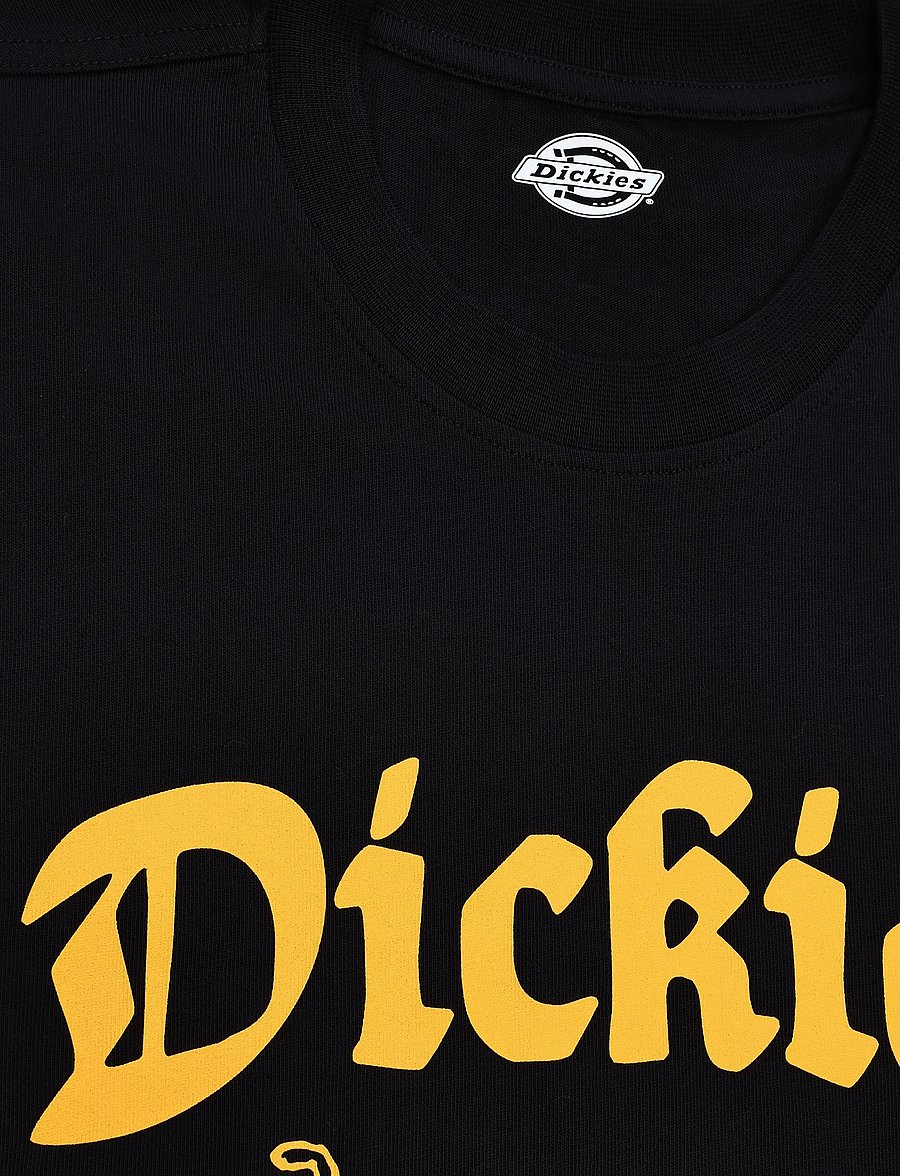 Dickies - APALACHICOLSA SS TEE - kortärmade t-shirts - black - 2