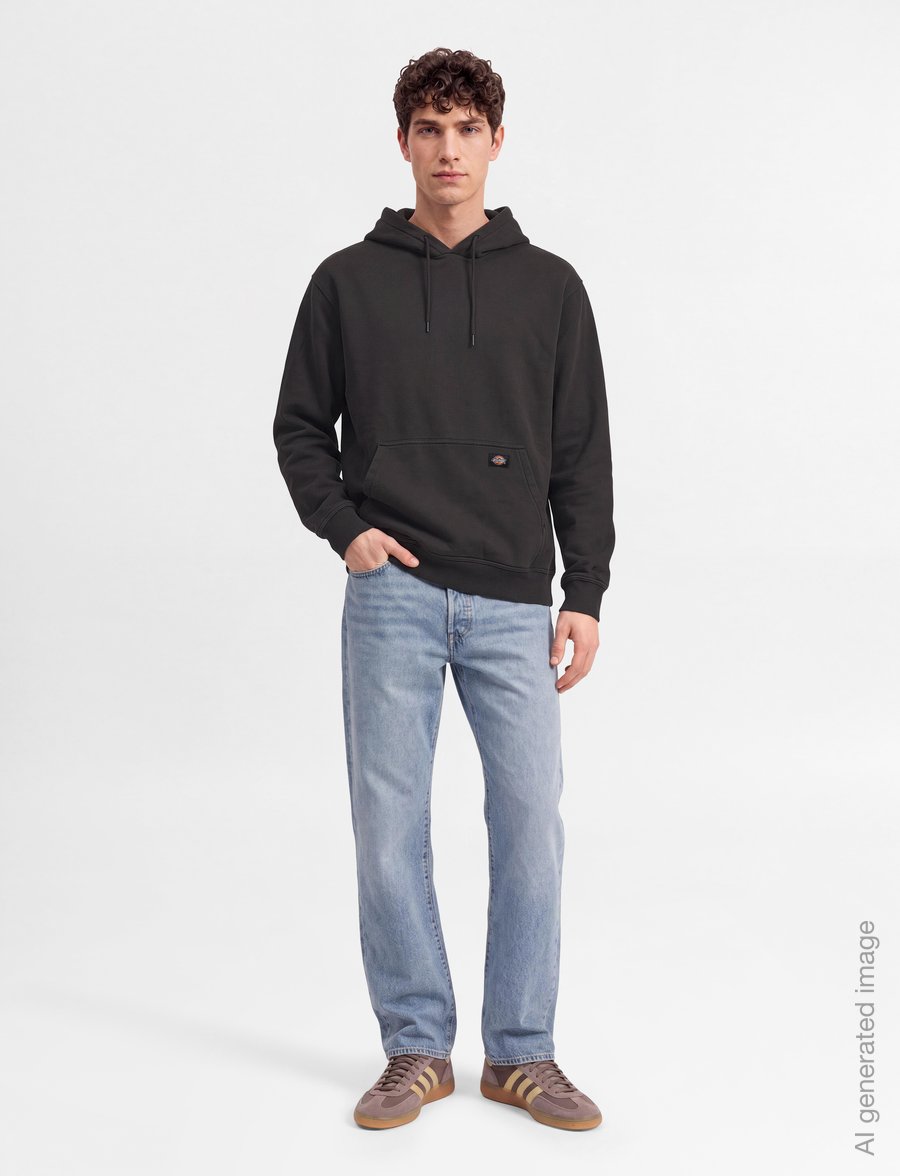 Dickies - SUTCLIFFE HOODIE - kapuzenpullover - black - 0