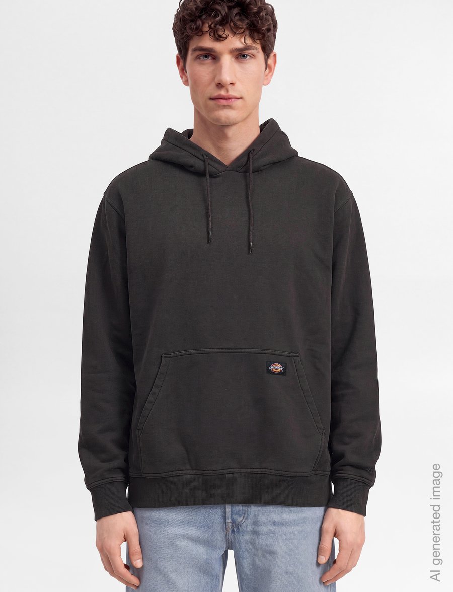 Dickies - SUTCLIFFE HOODIE - kapuzenpullover - black - 3